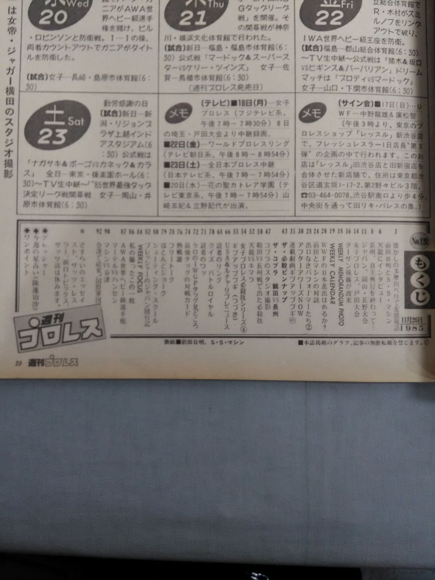 Weekly Pro Wrestling 120