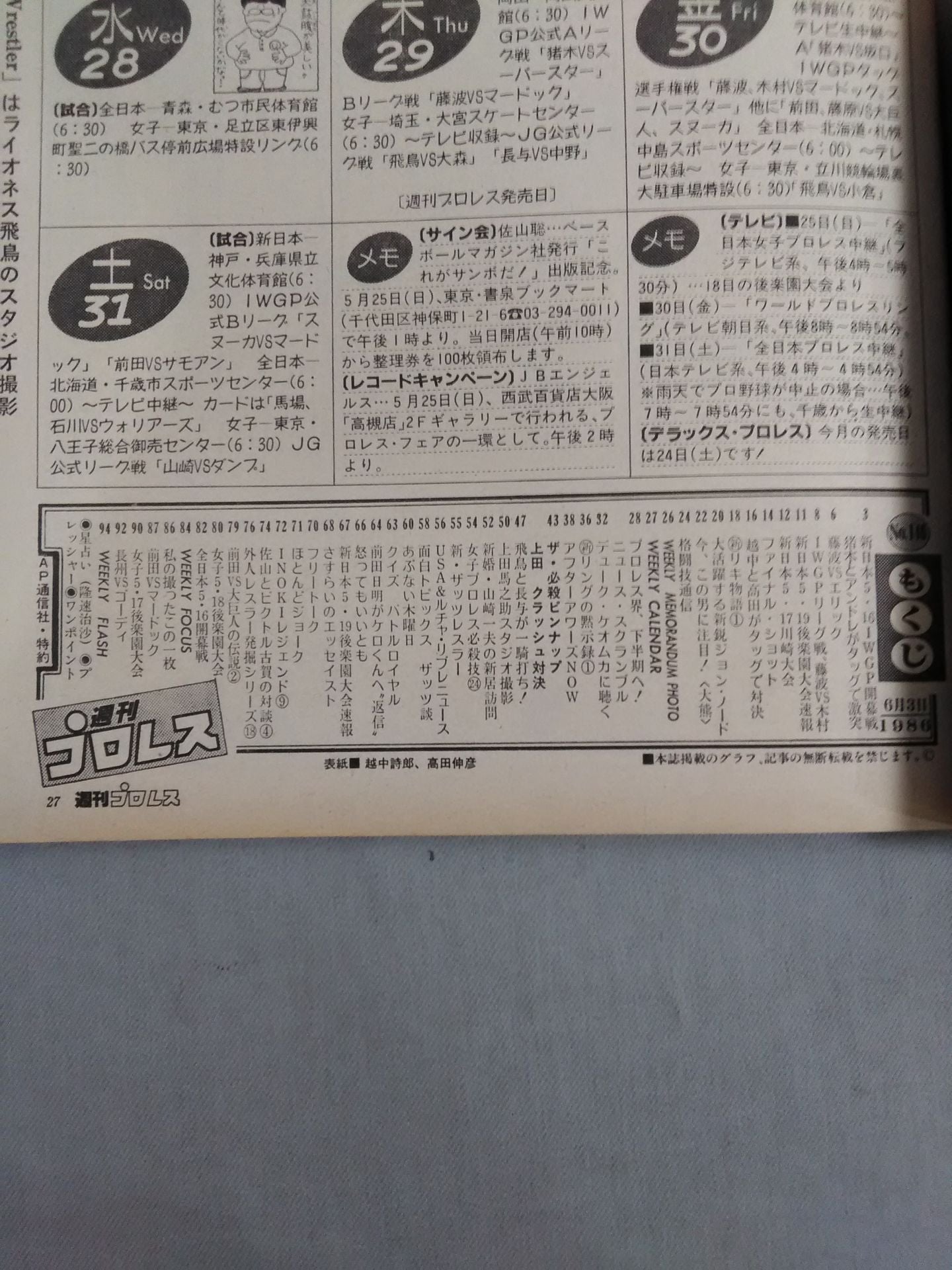 Weekly Pro Wrestling 146