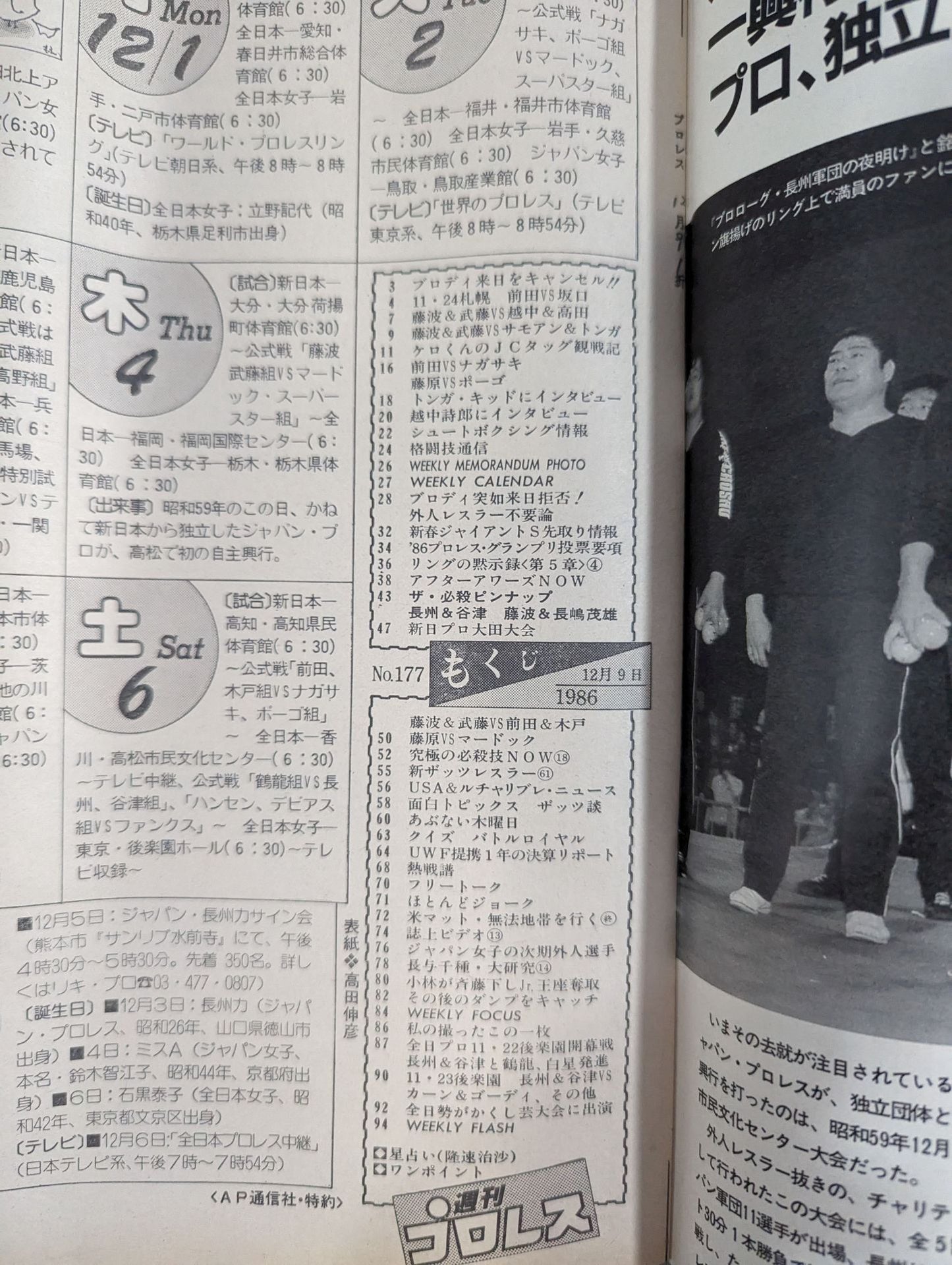 Weekly Pro Wrestling 177