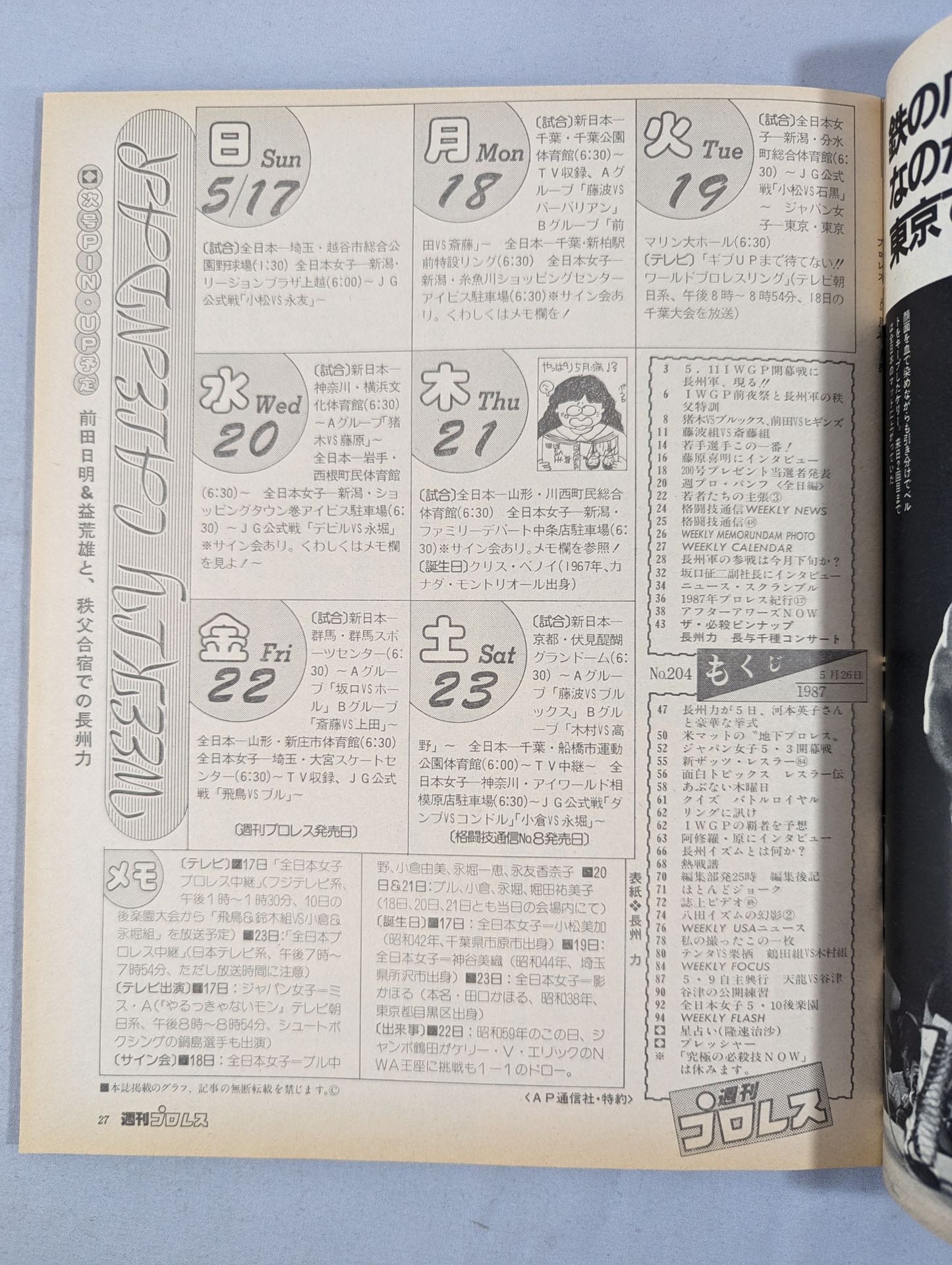 Weekly Pro Wrestling 204