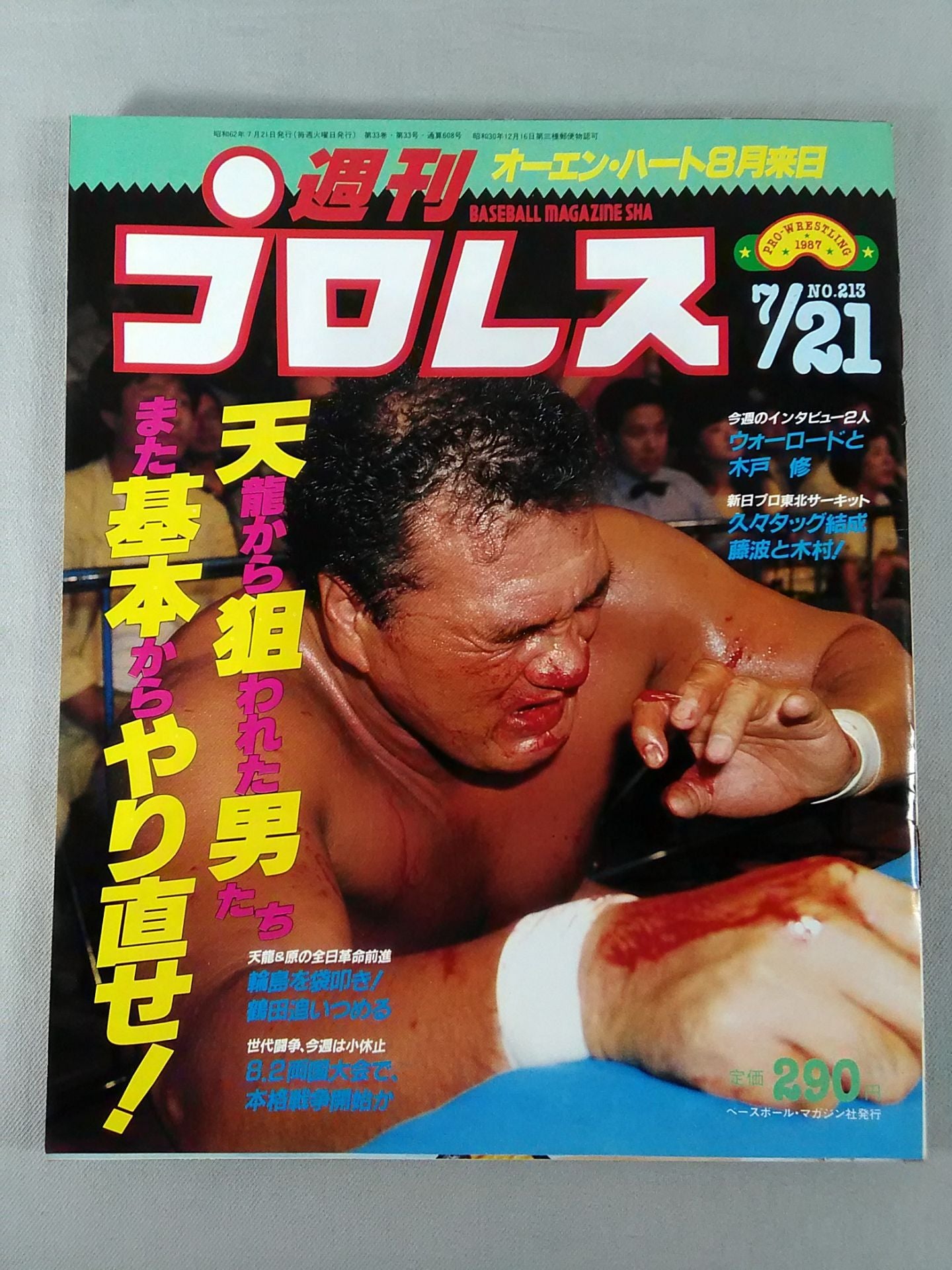 週刊プロレス213 – 闘道館