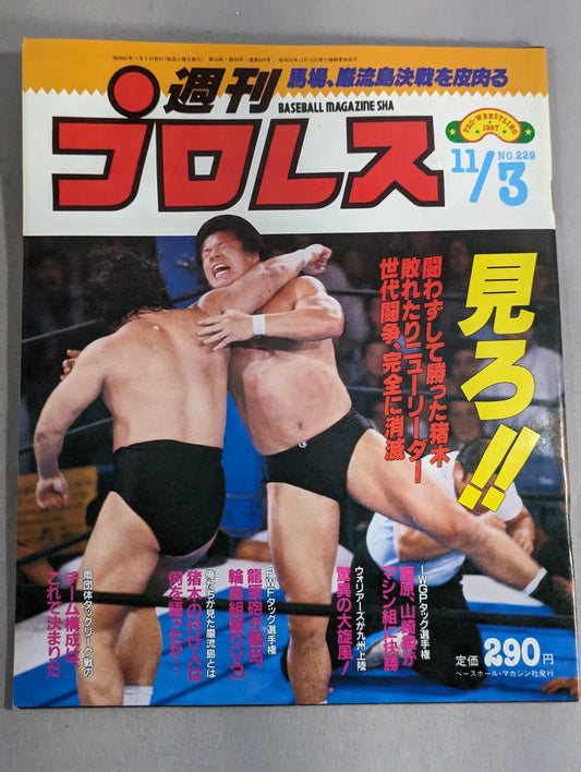 Weekly Pro Wrestling 229