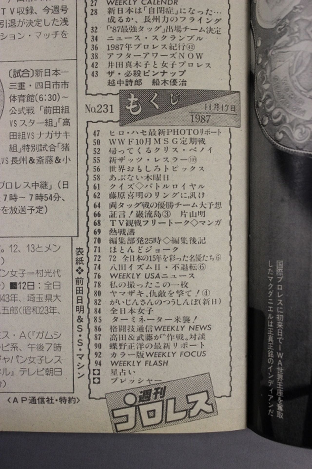 Weekly Pro Wrestling 231