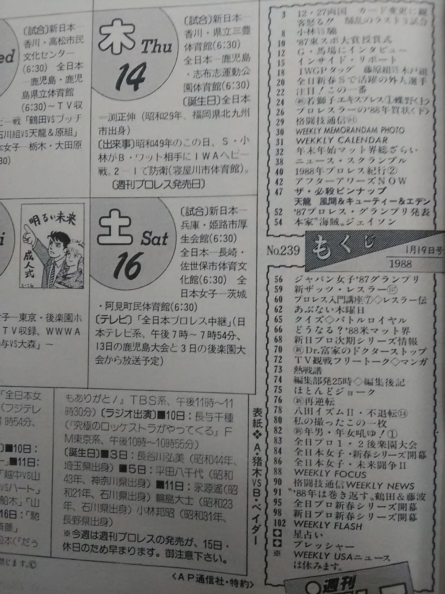 Weekly Pro Wrestling 239