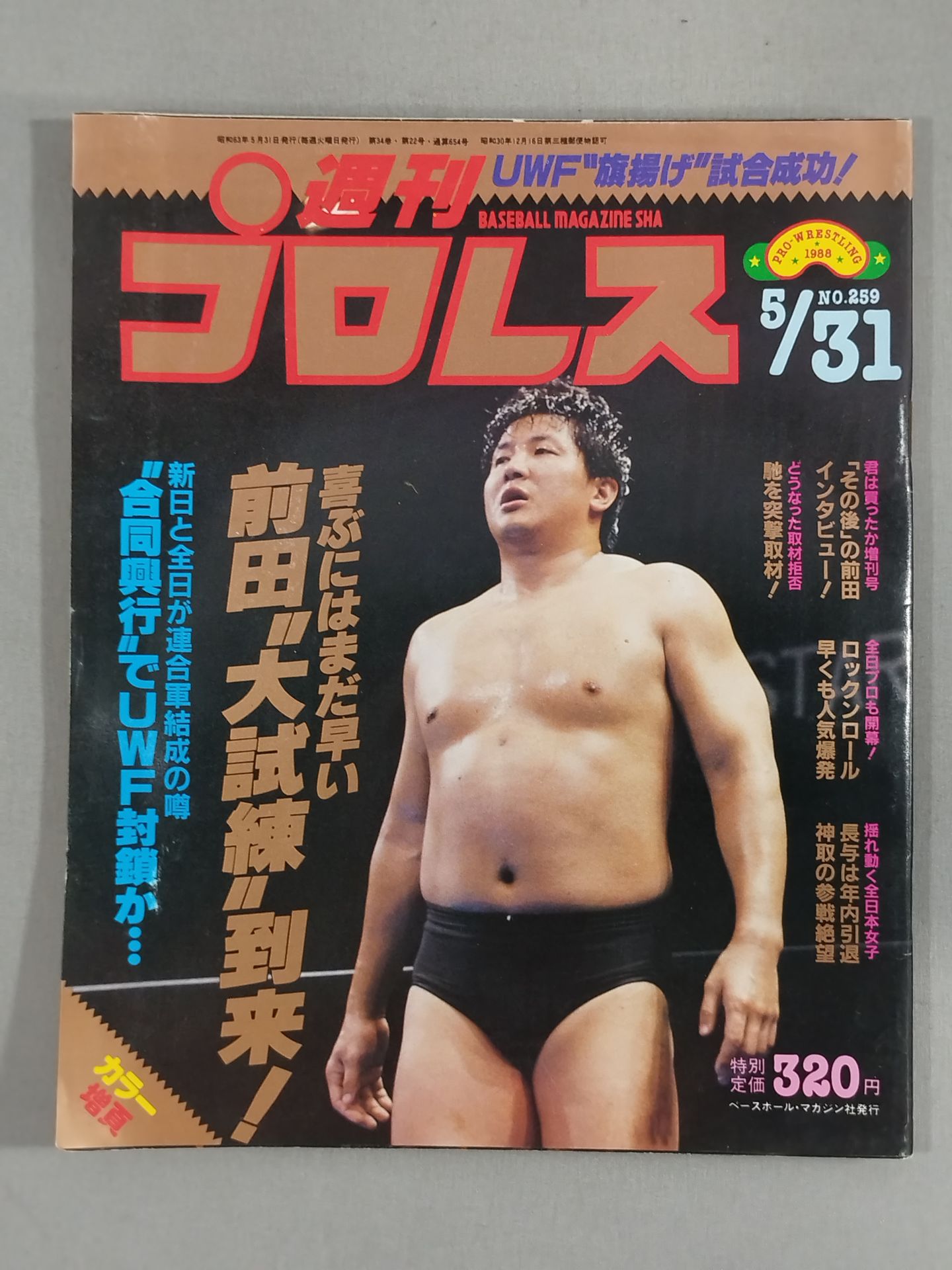 Weekly Pro Wrestling 259
