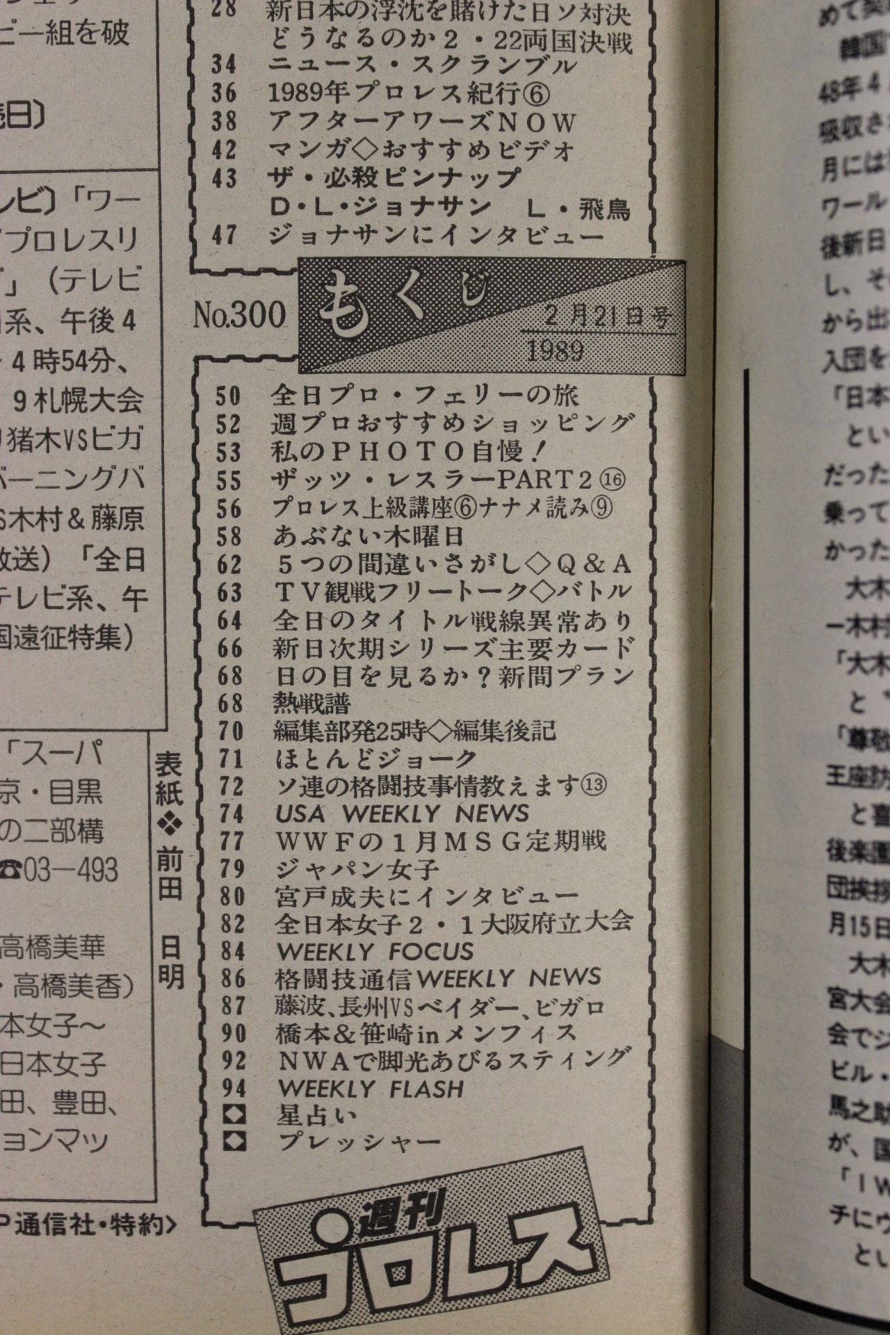 Weekly Pro Wrestling 300