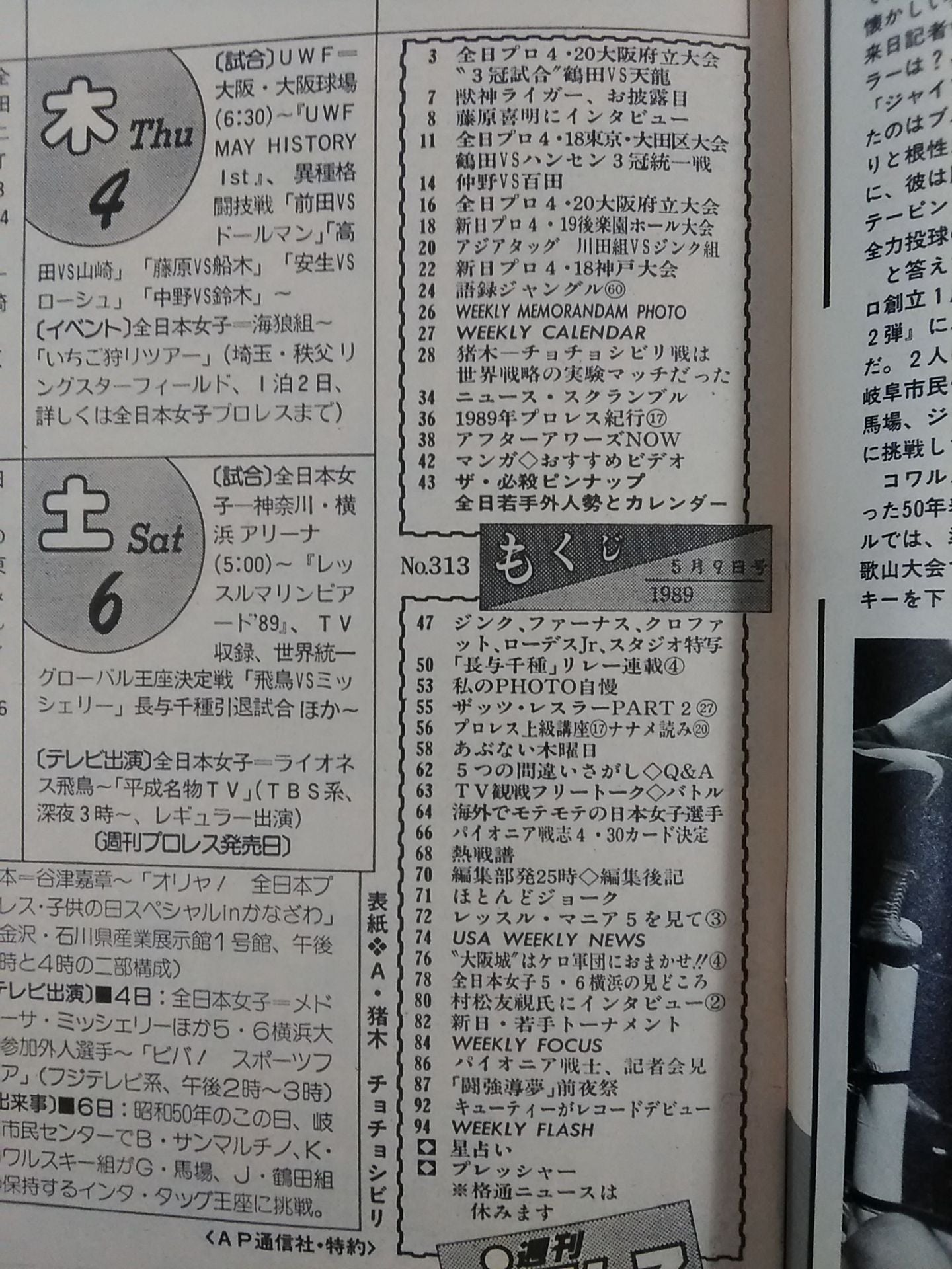 Weekly Pro Wrestling 313