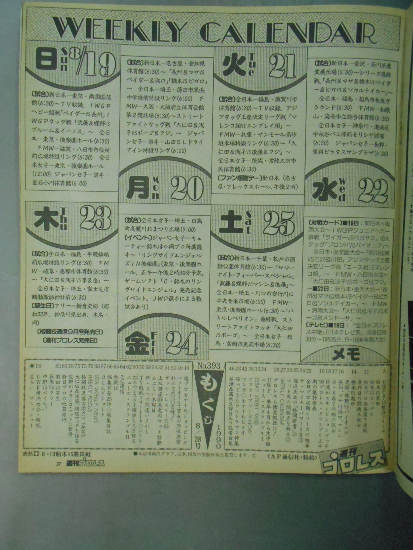 Weekly Pro Wrestling 393