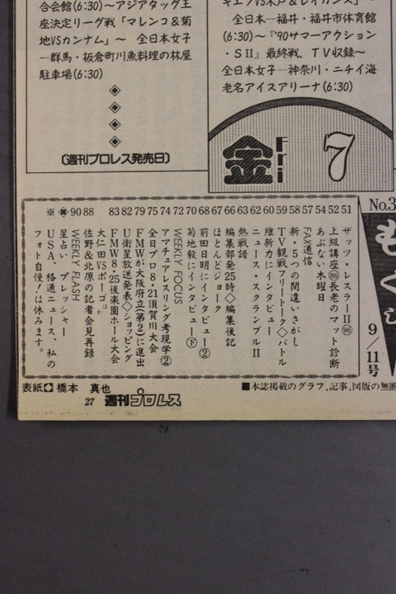 Weekly Pro Wrestling 395