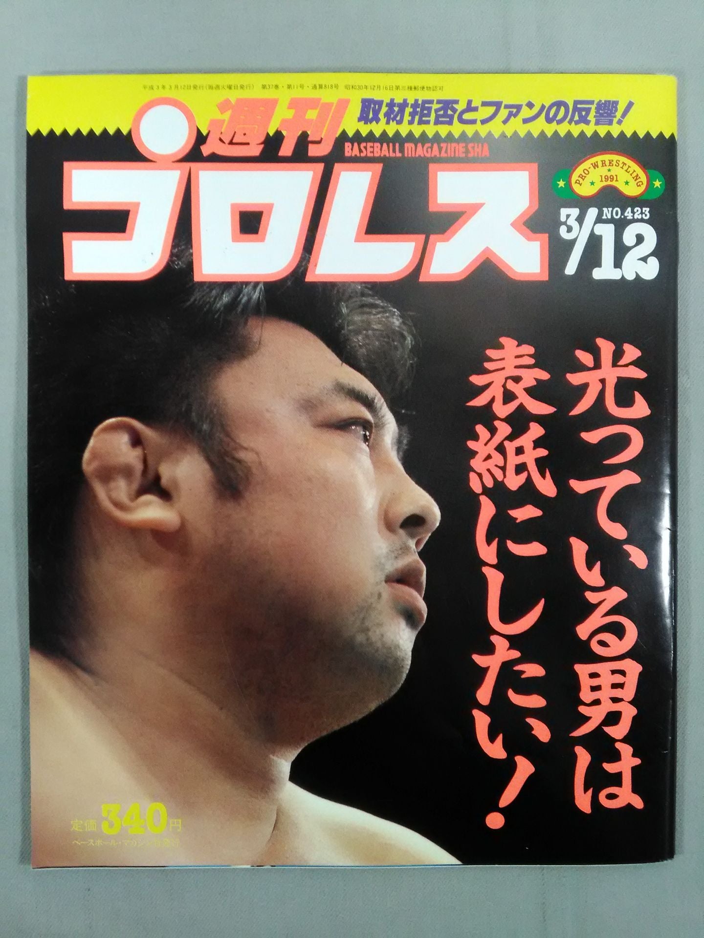 Weekly Pro Wrestling 423