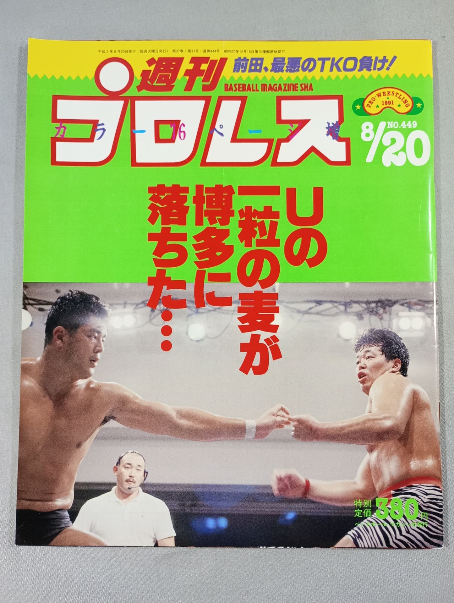 Weekly Pro Wrestling 449