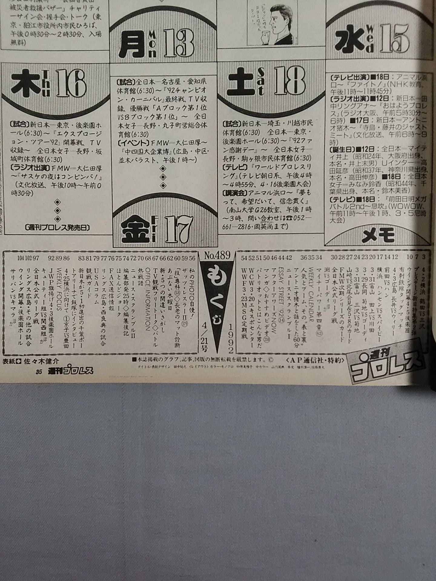 Weekly Pro Wrestling 489