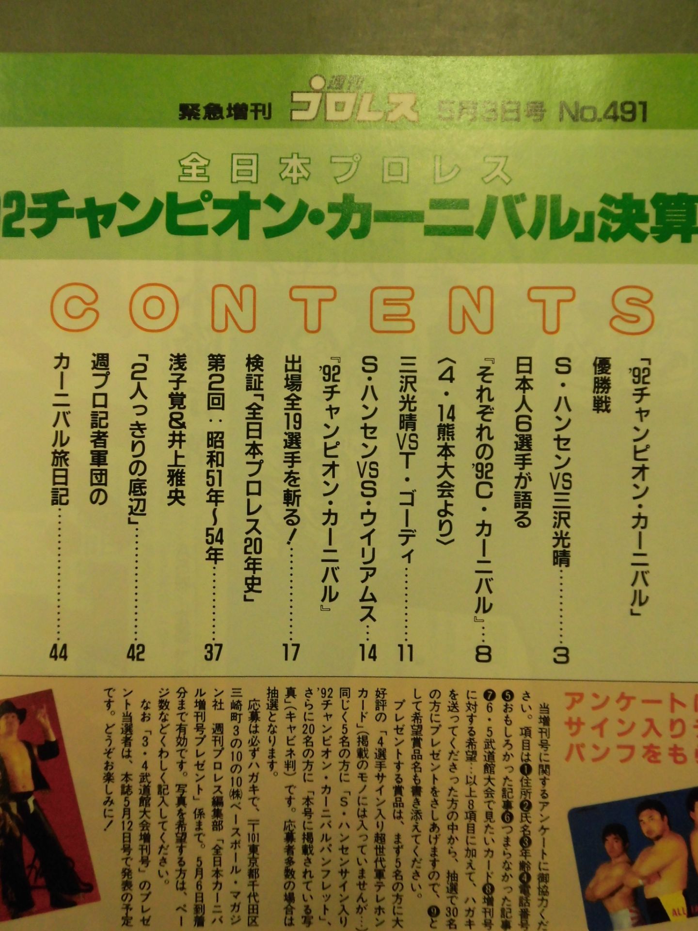Weekly Pro Wrestling 491