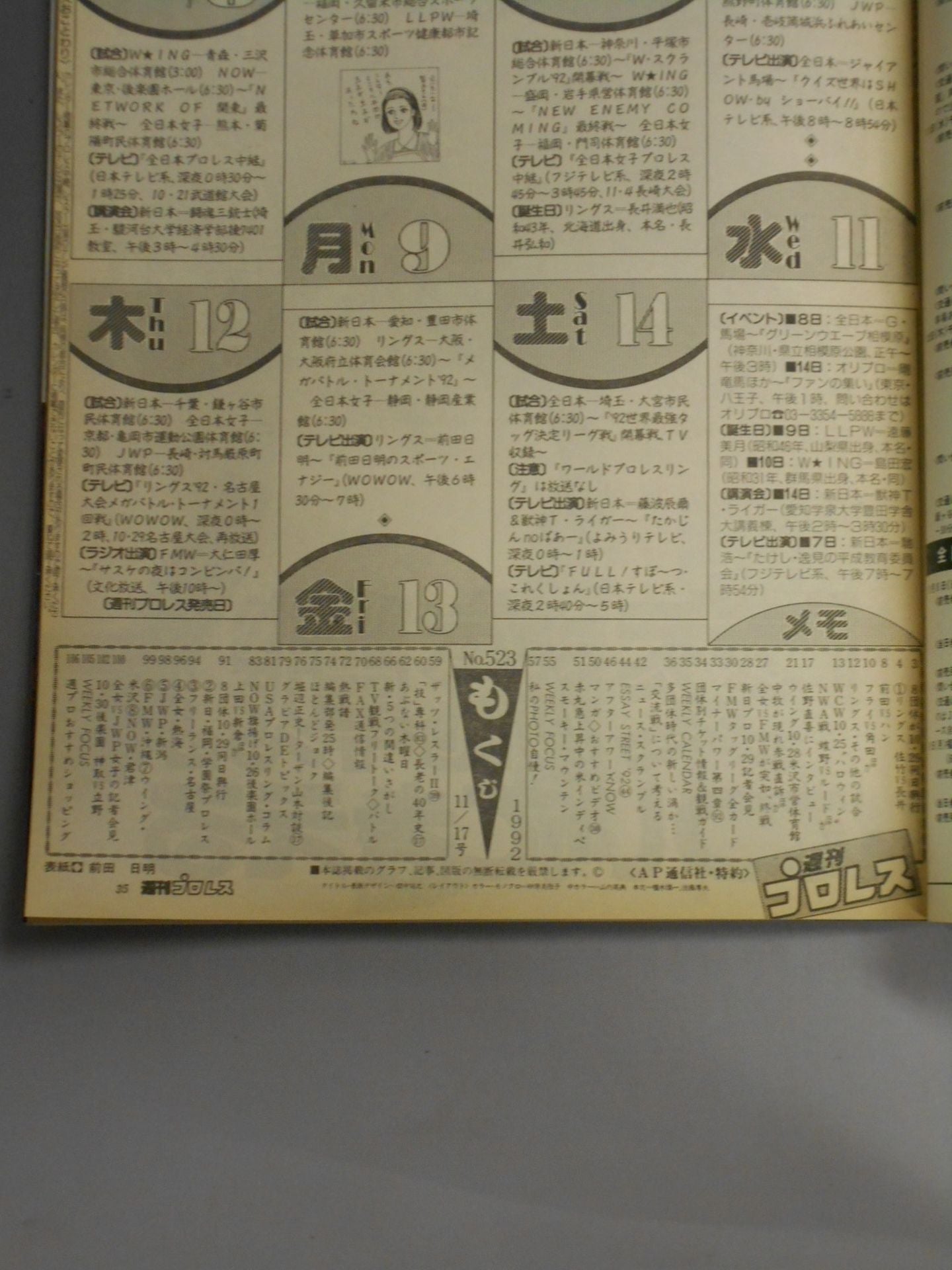 Weekly Pro Wrestling 523