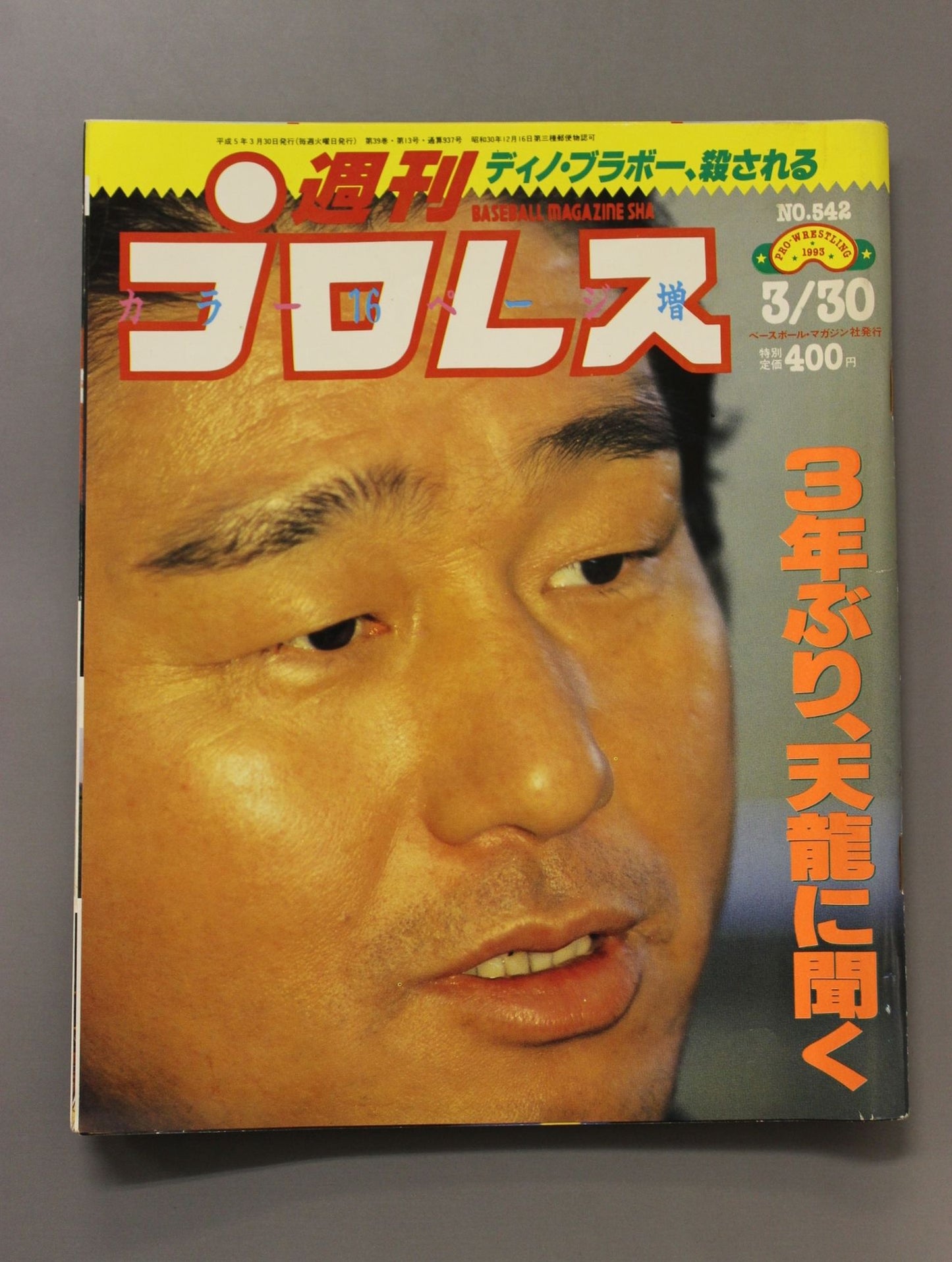 Weekly Pro Wrestling 542