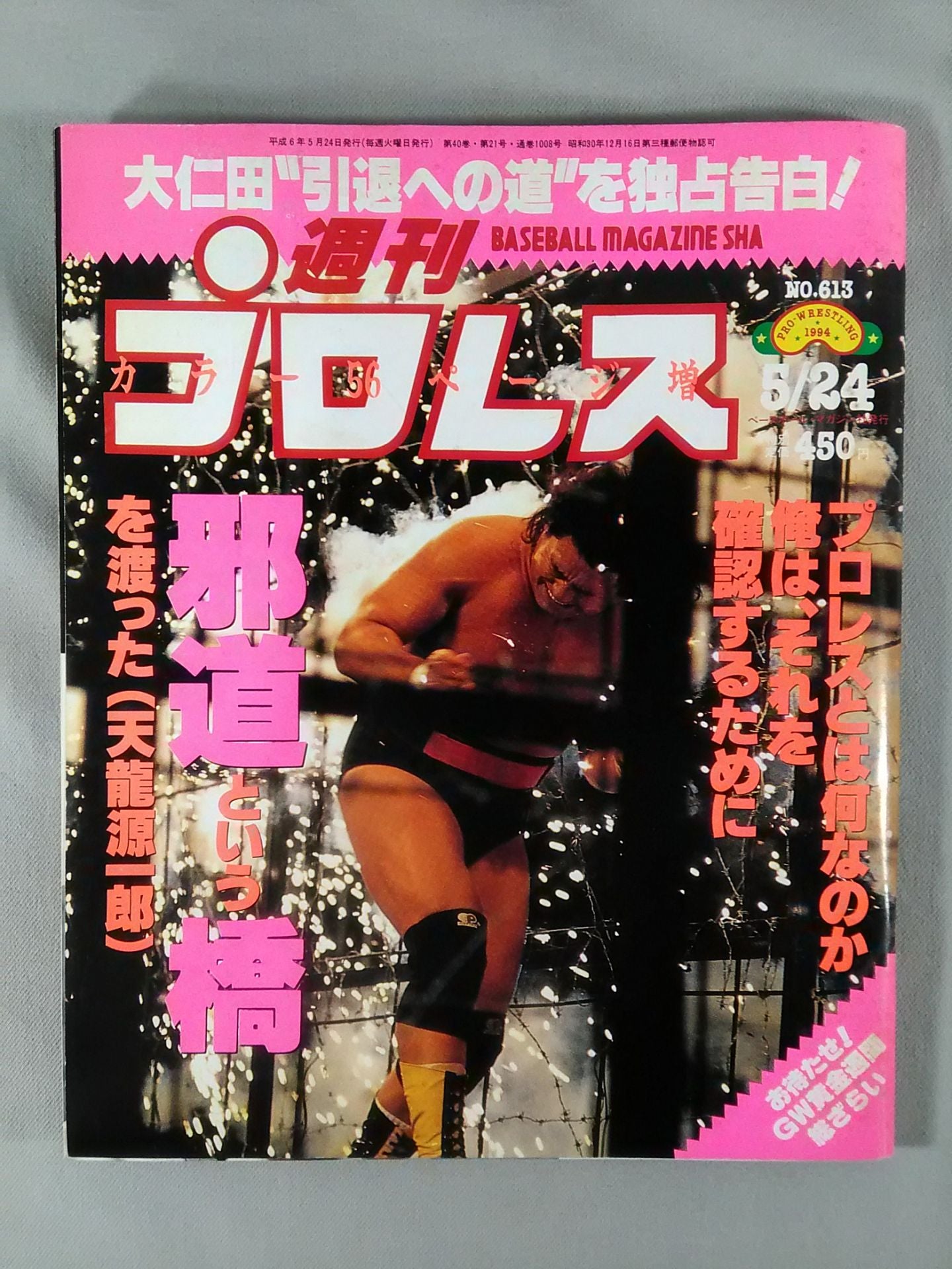 週刊プロレス613 – 闘道館