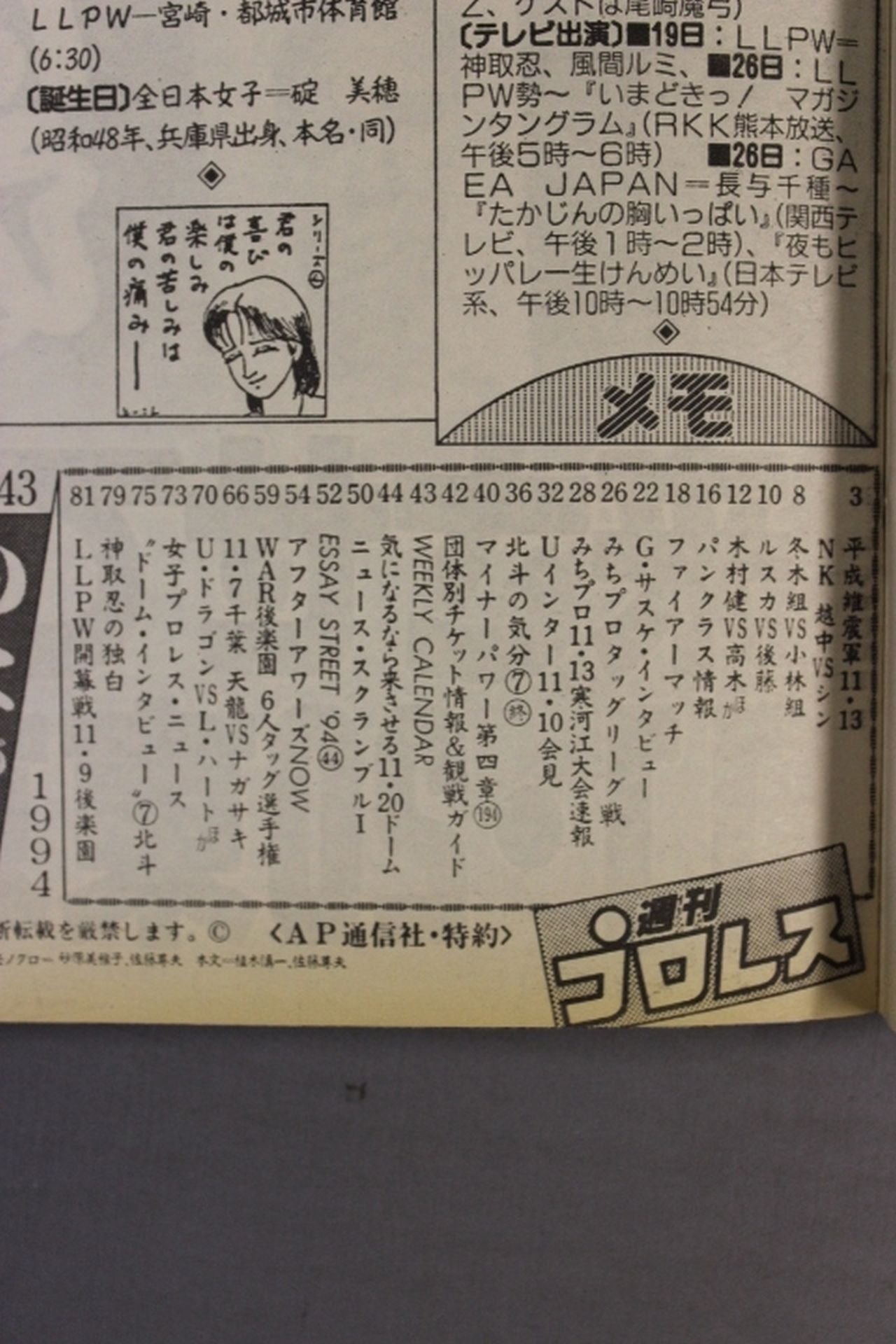 Weekly Pro Wrestling 643