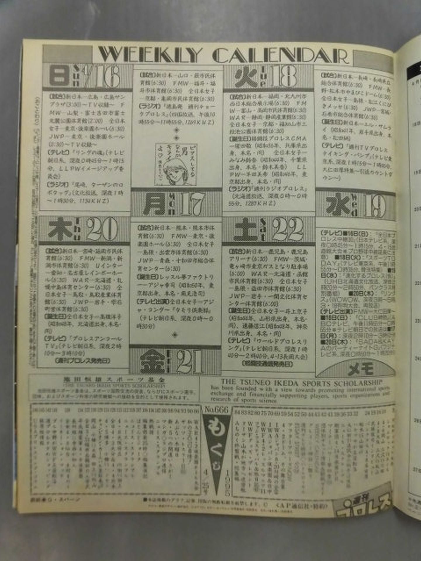 Weekly Pro Wrestling 666