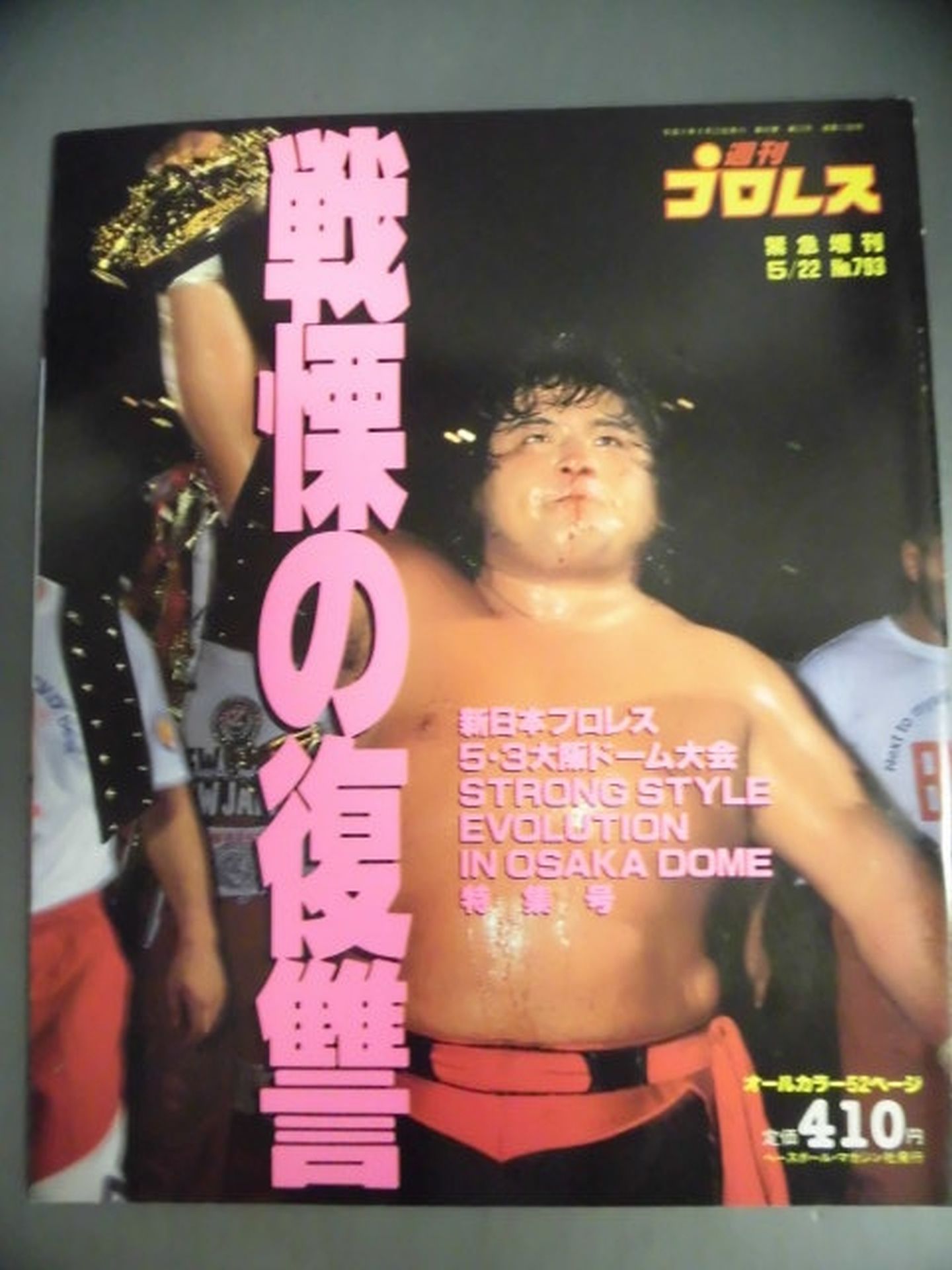 Weekly Pro Wrestling 793 – 闘道館