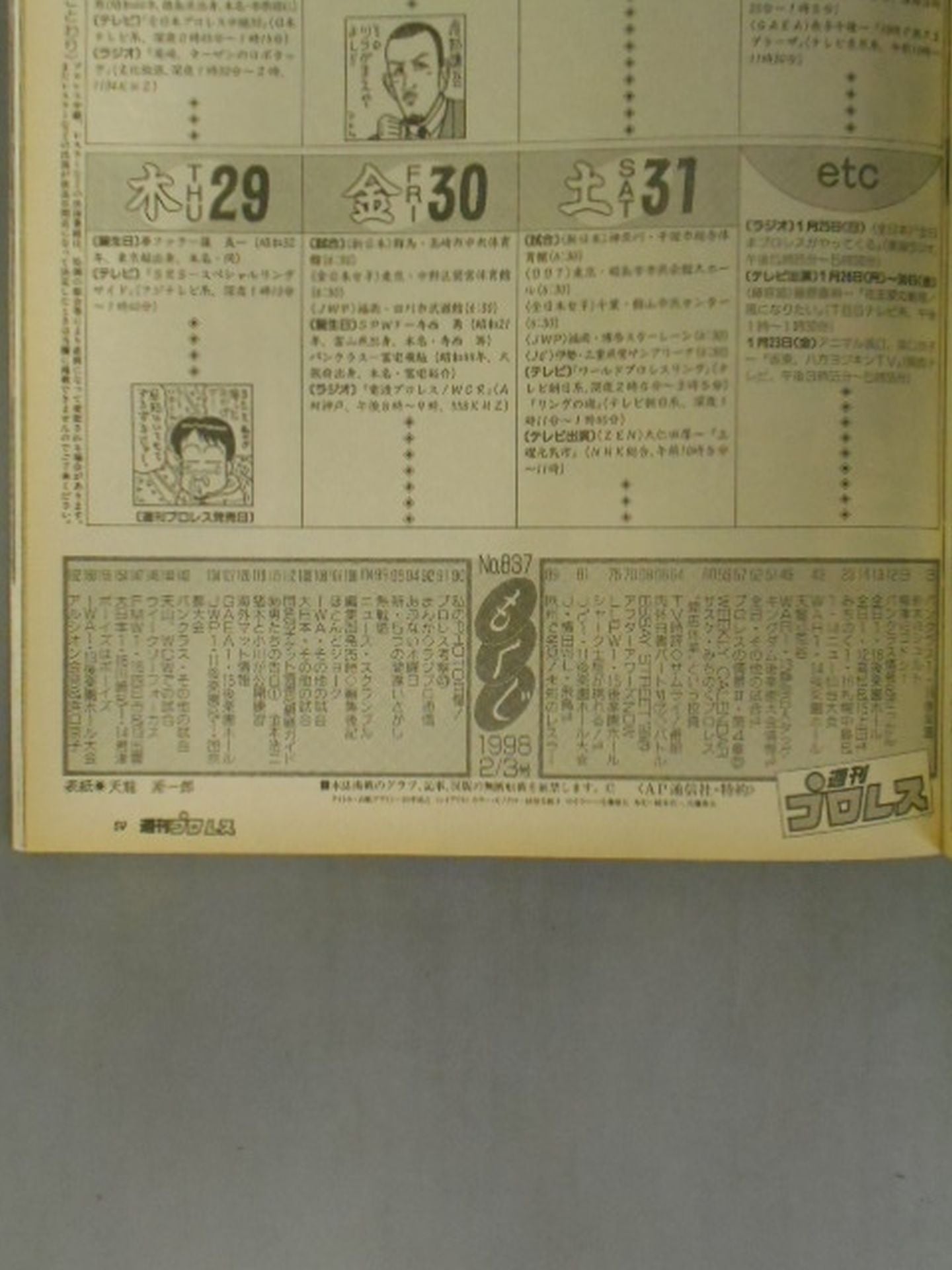 Weekly Pro Wrestling 837