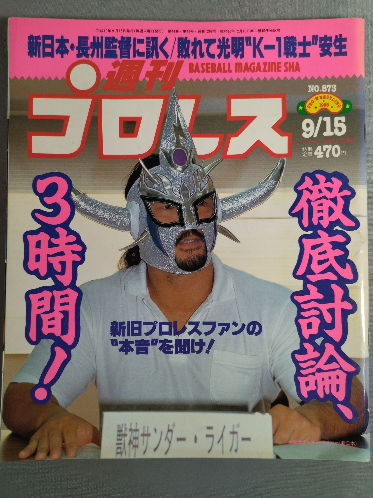 Weekly Pro Wrestling 873