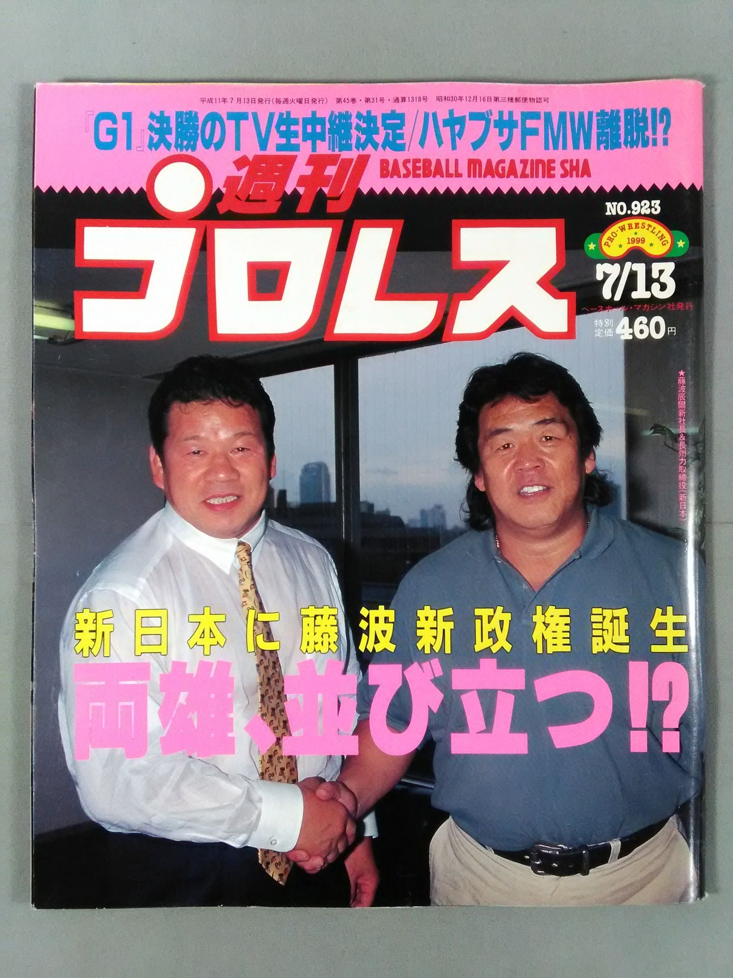 Weekly Pro Wrestling 923