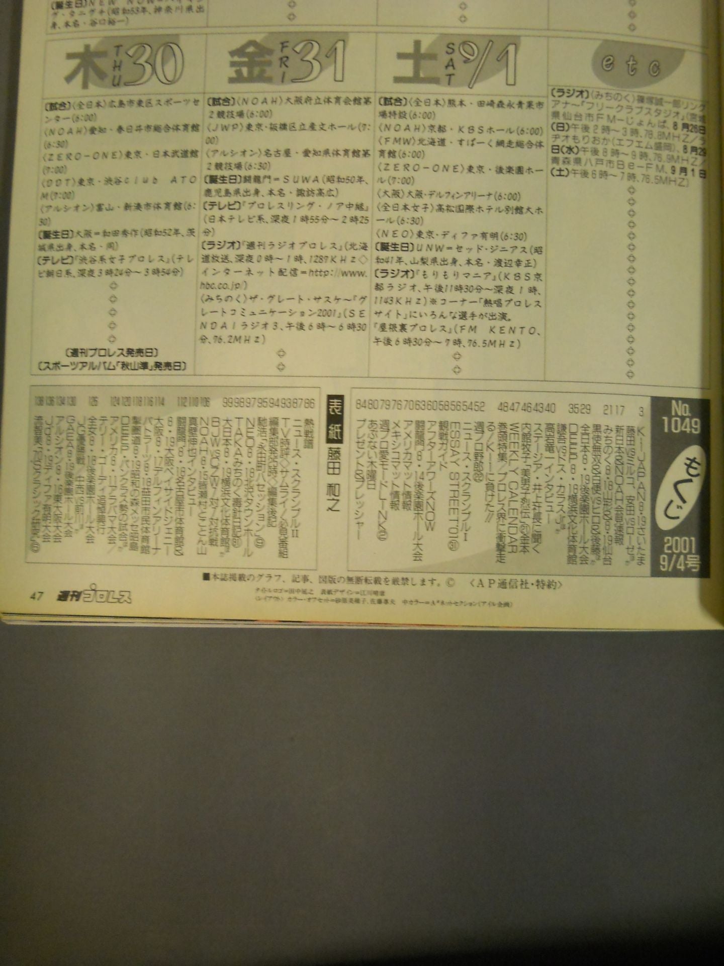 Weekly Pro Wrestling 1049