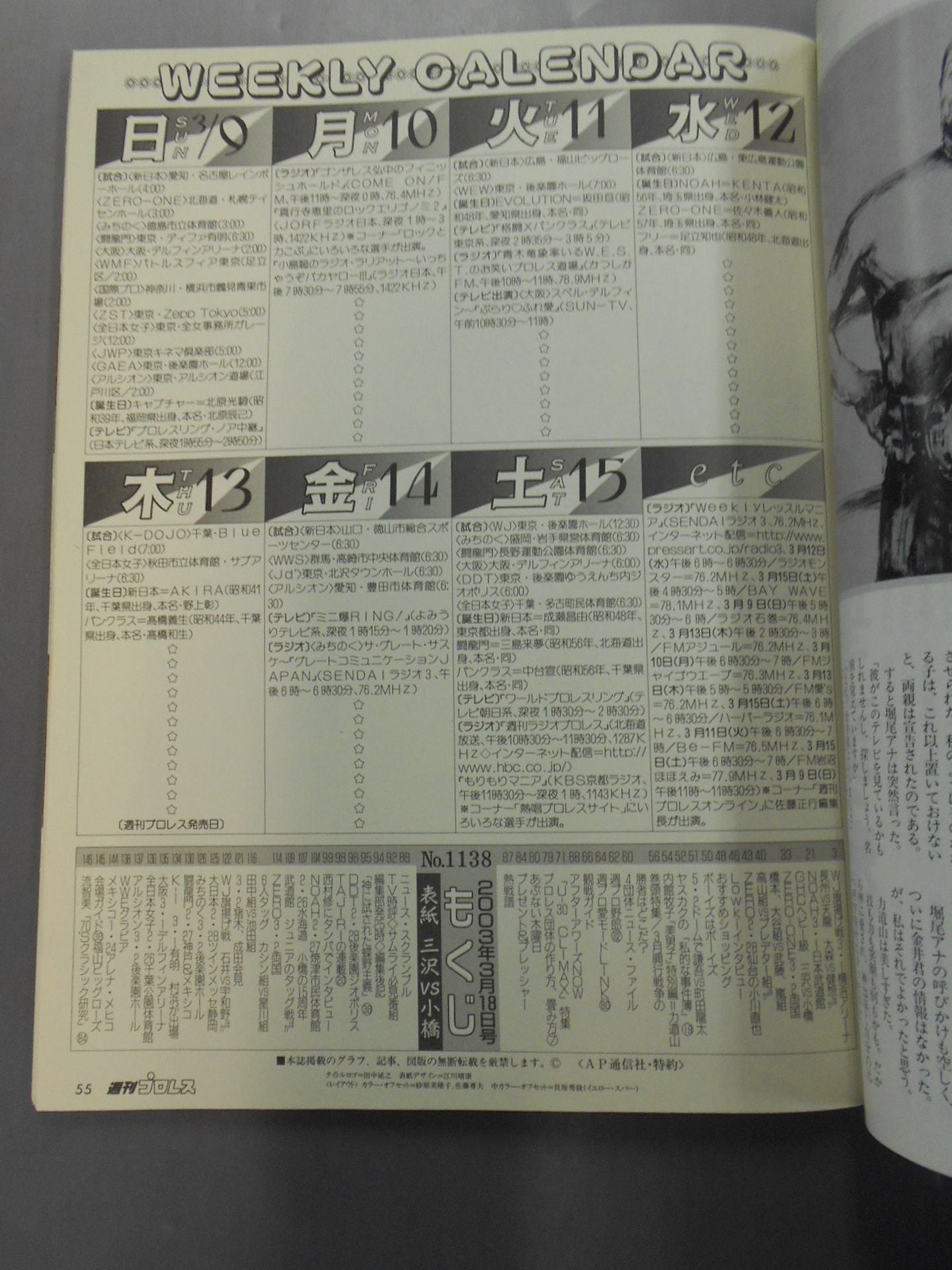 Weekly Pro Wrestling 1138
