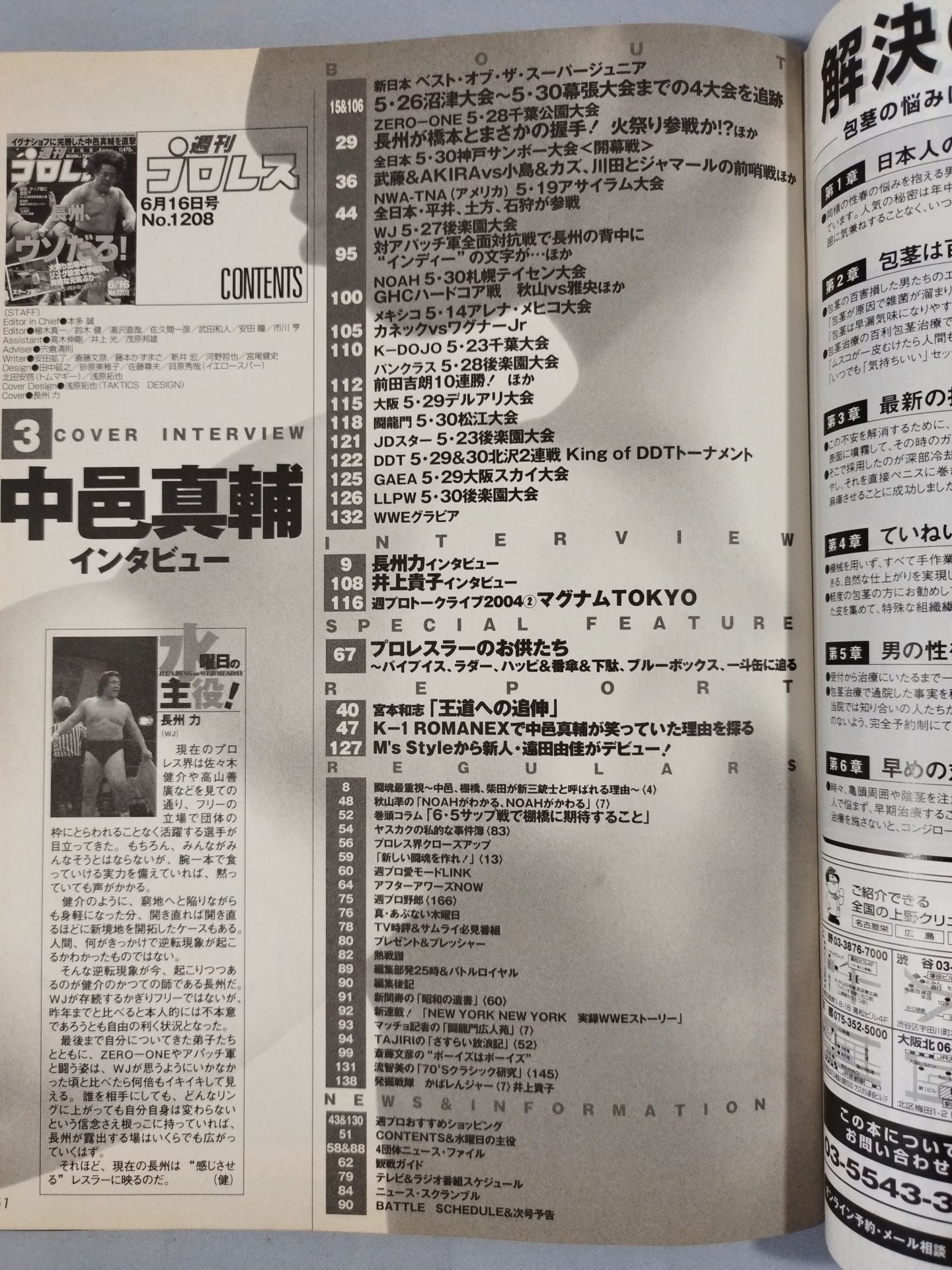 Weekly Pro Wrestling 1208