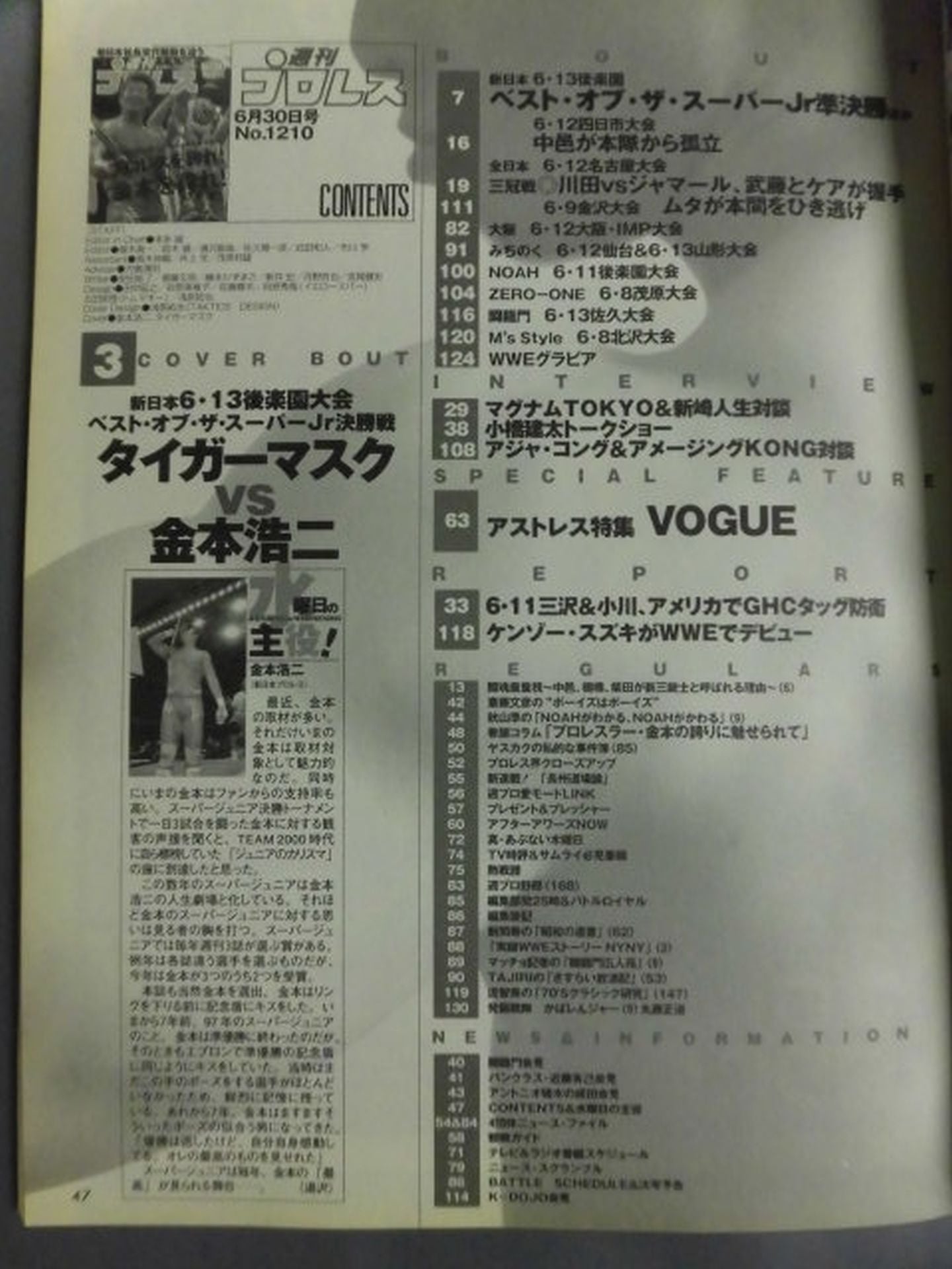 Weekly Pro Wrestling 1210