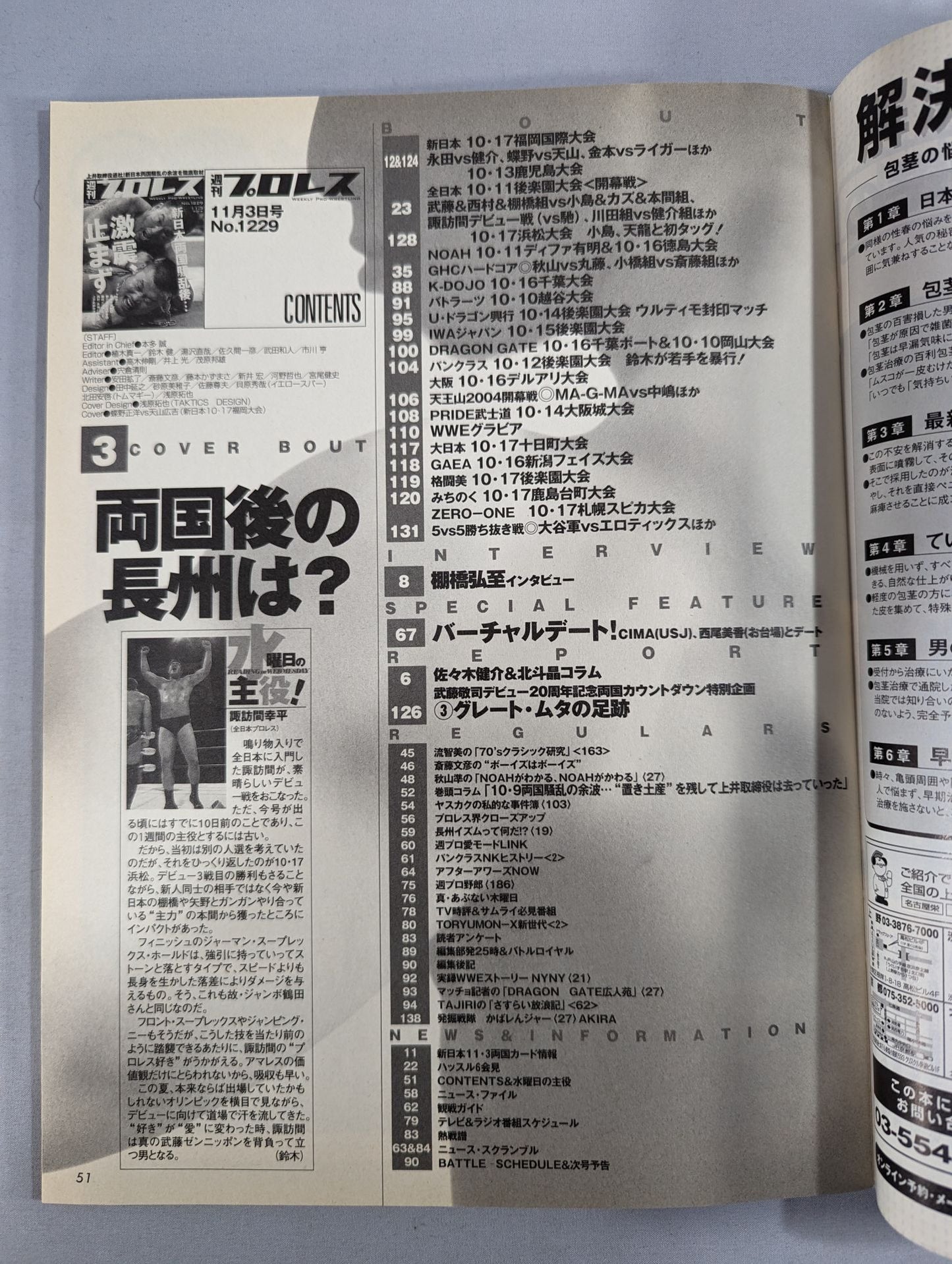 Weekly Pro Wrestling 1229