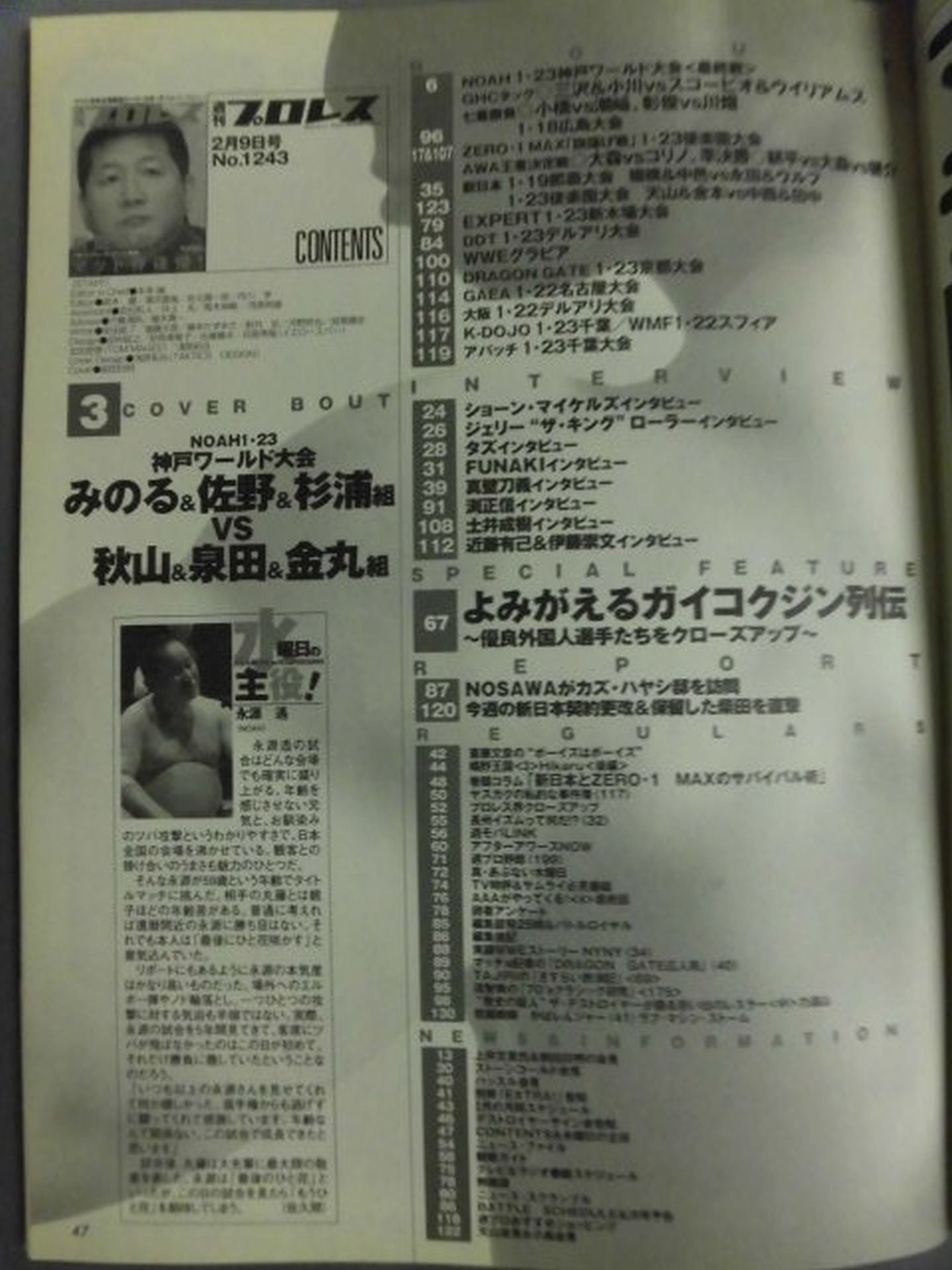 Weekly Pro Wrestling 1243