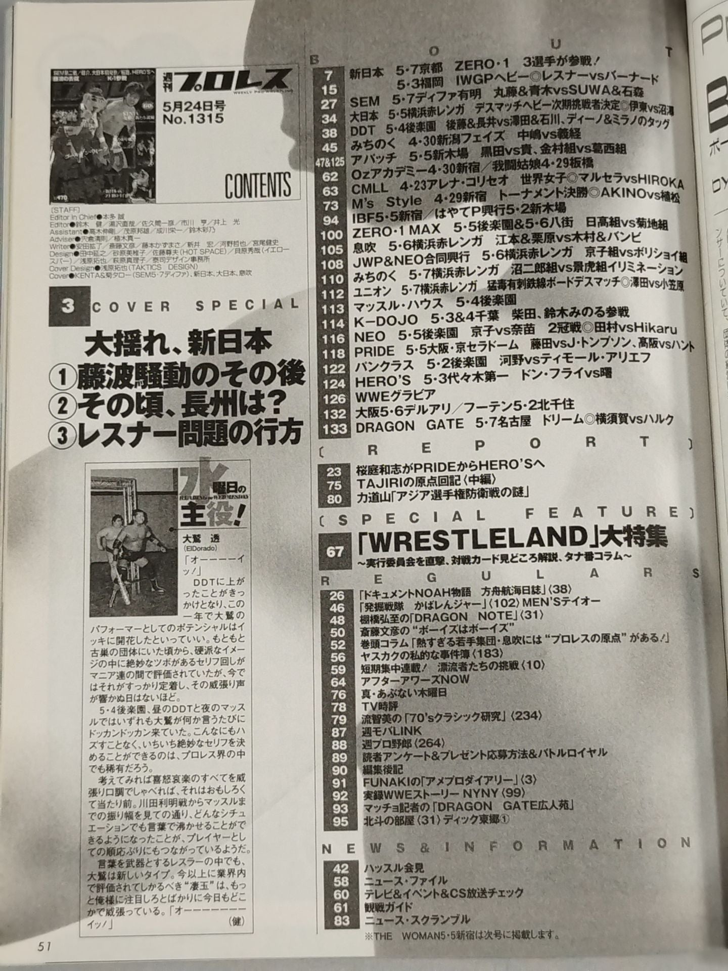 Weekly Pro Wrestling 1315