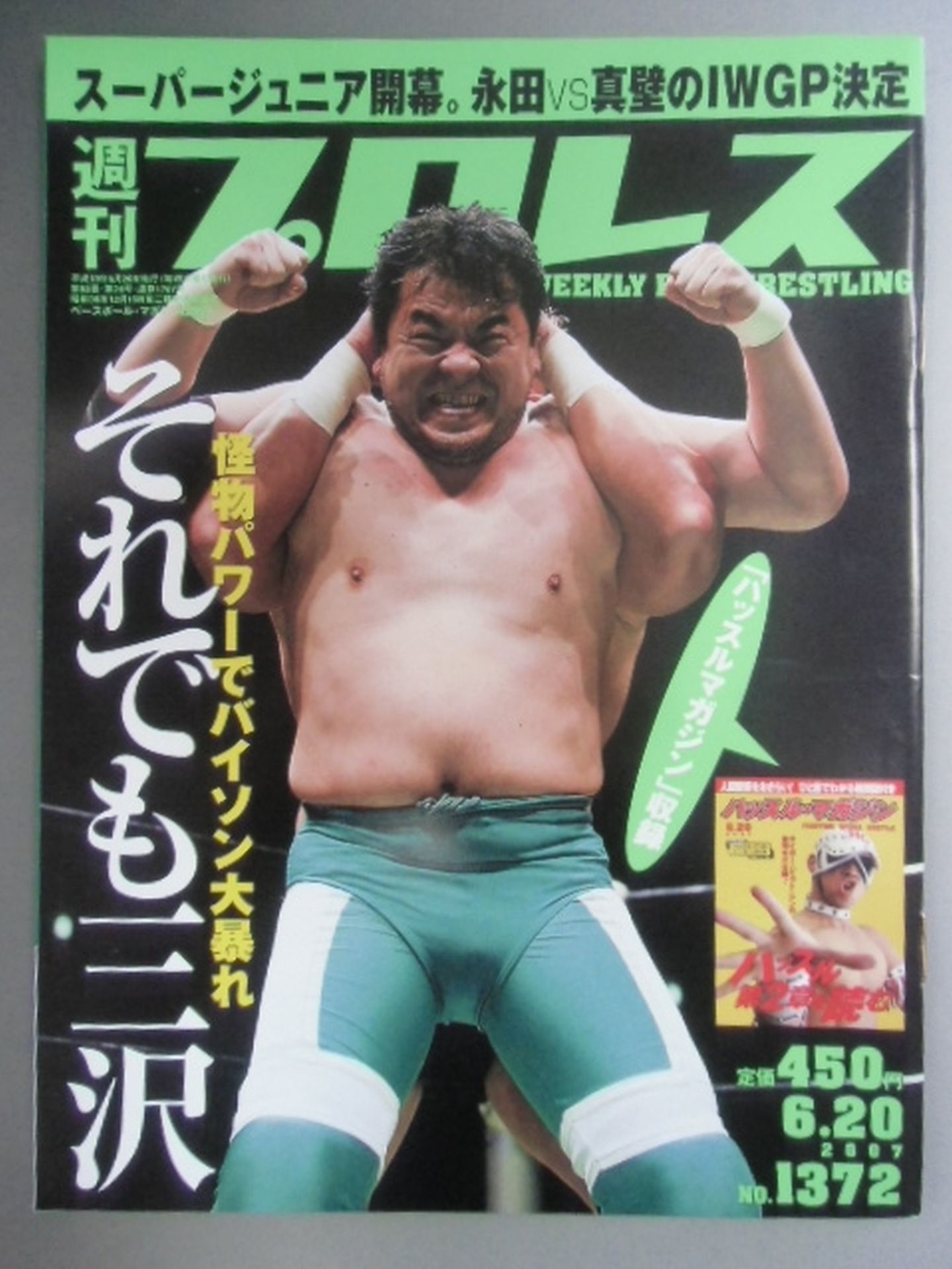 Weekly Pro Wrestling 1372