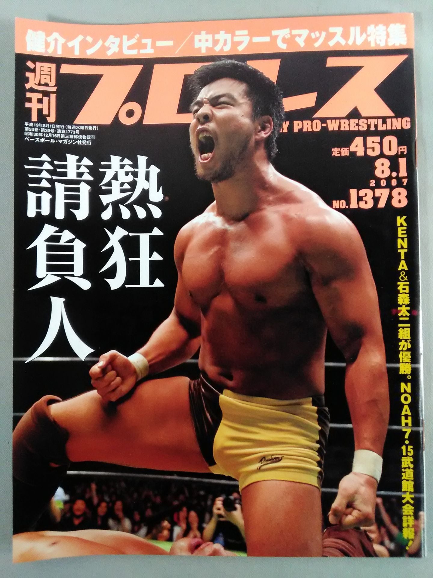 Weekly Pro Wrestling 1378