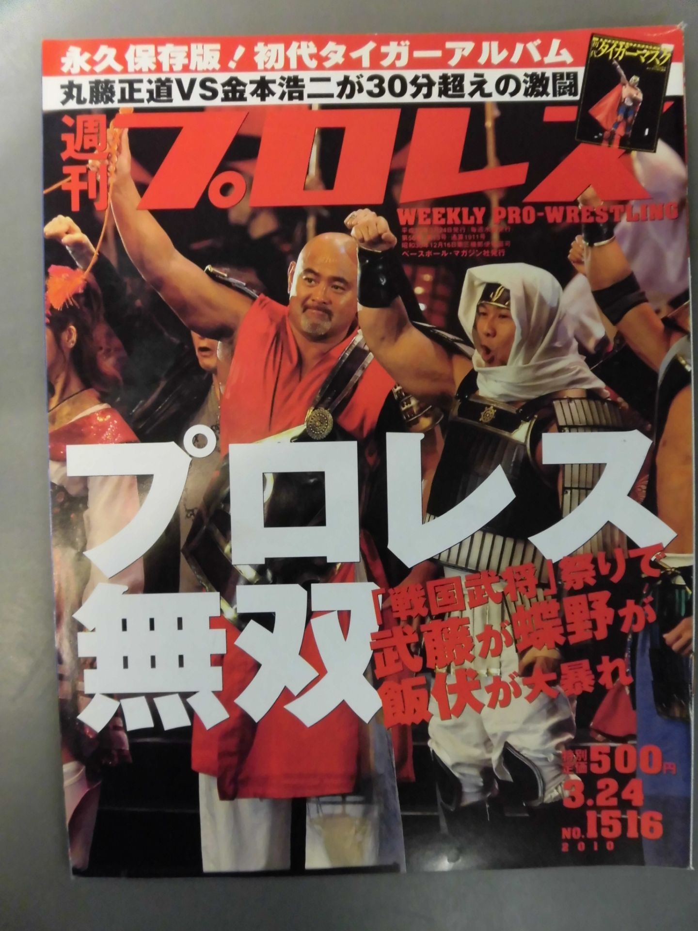 週刊プロレス1516 – 闘道館