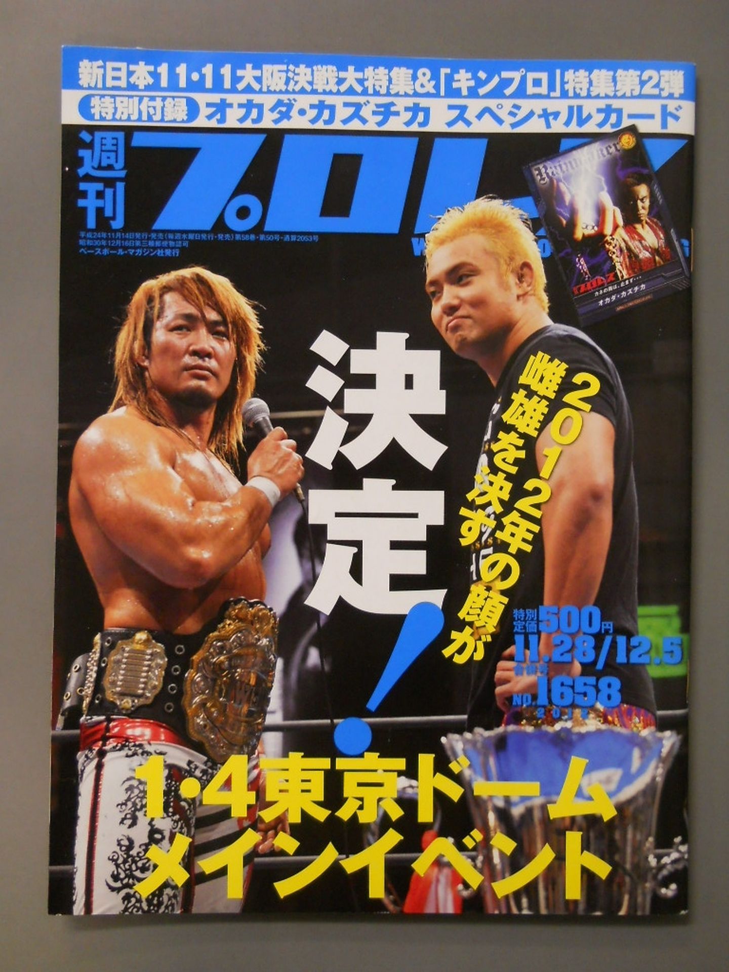 週刊プロレス1658 – 闘道館