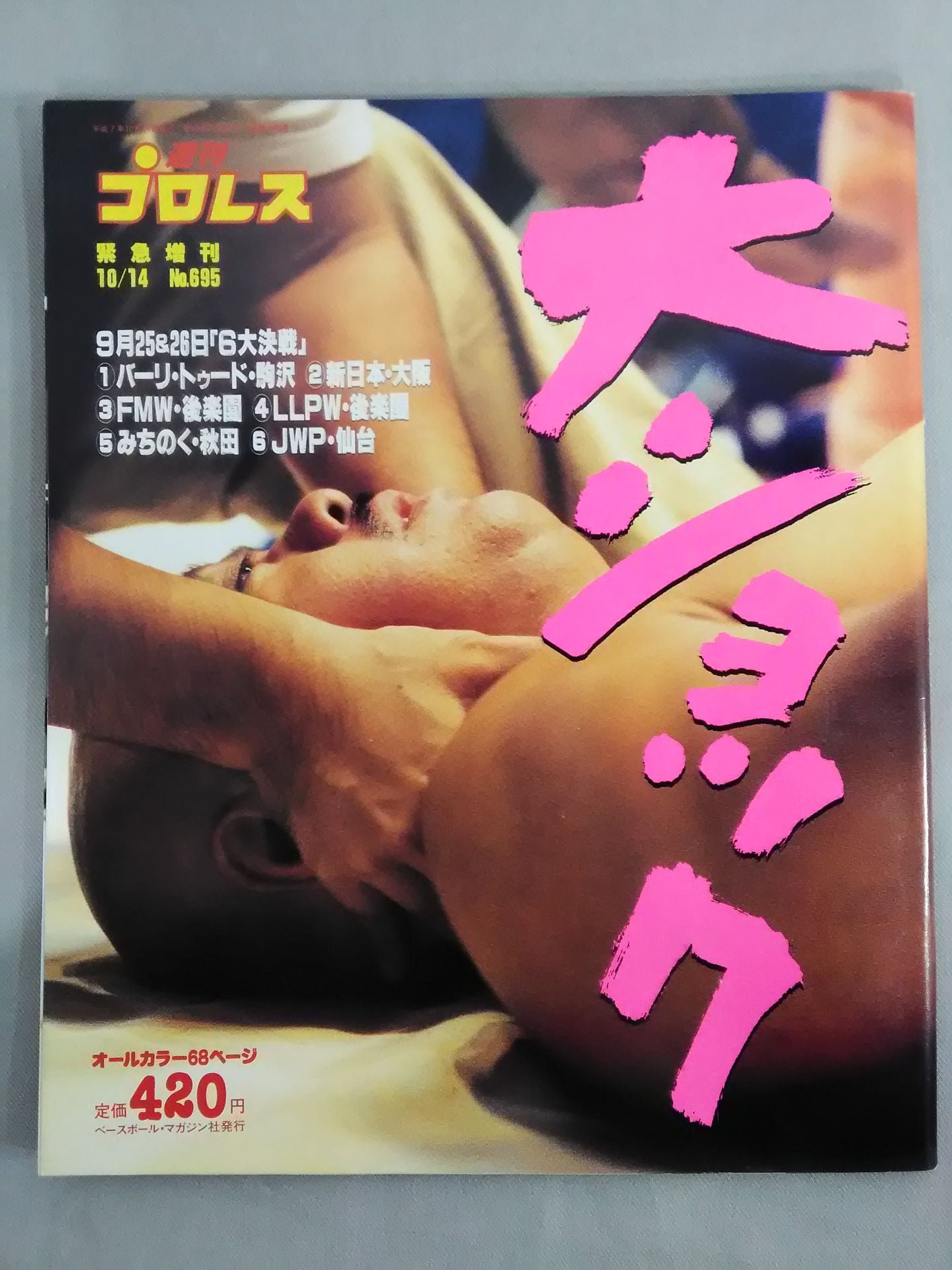 Weekly Pro Wrestling 695