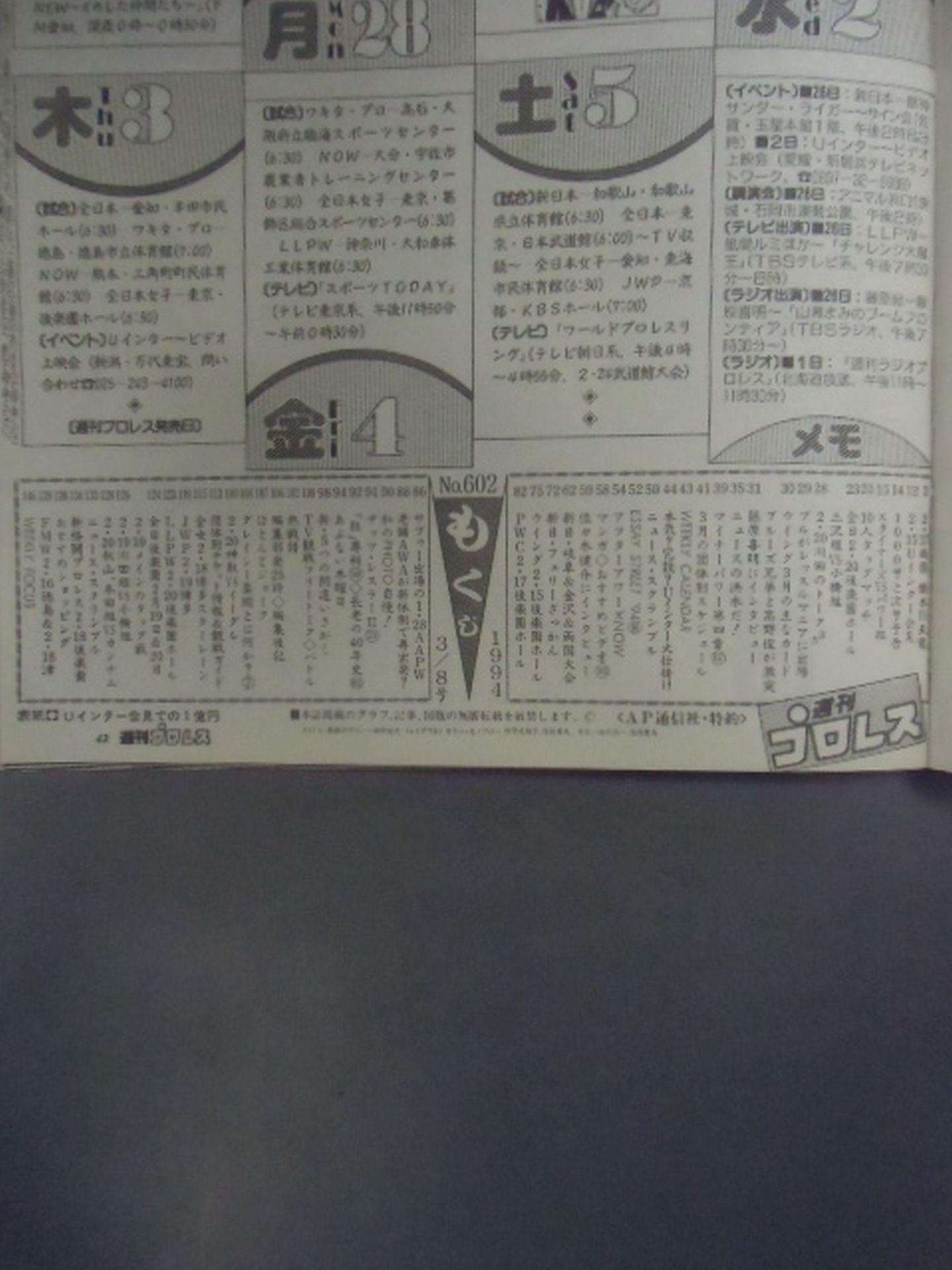 Weekly Pro Wrestling 602
