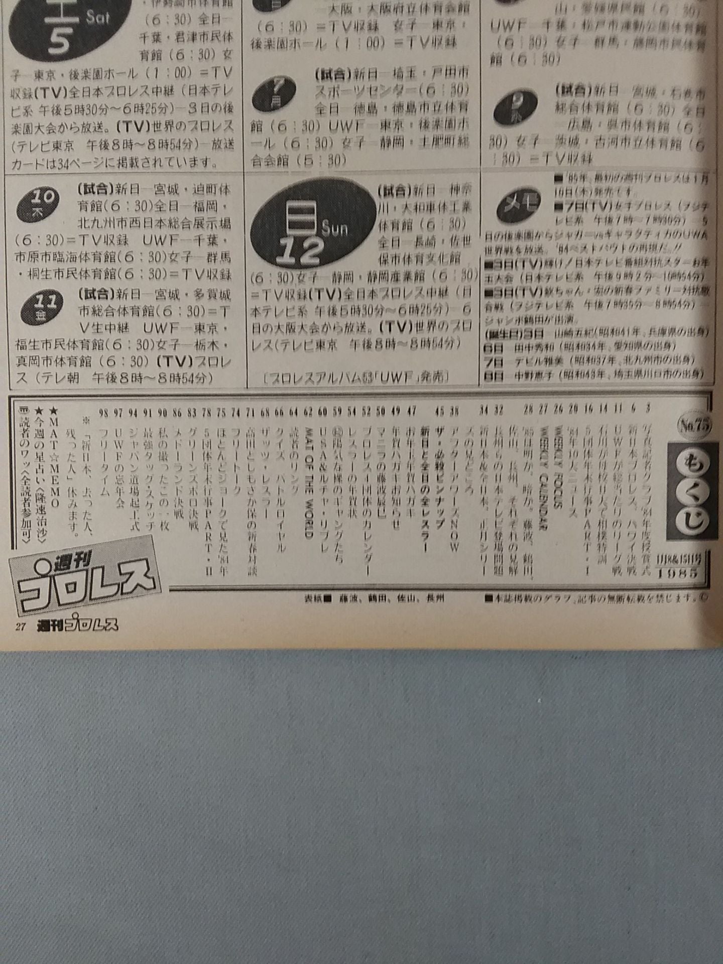 週刊プロレス75