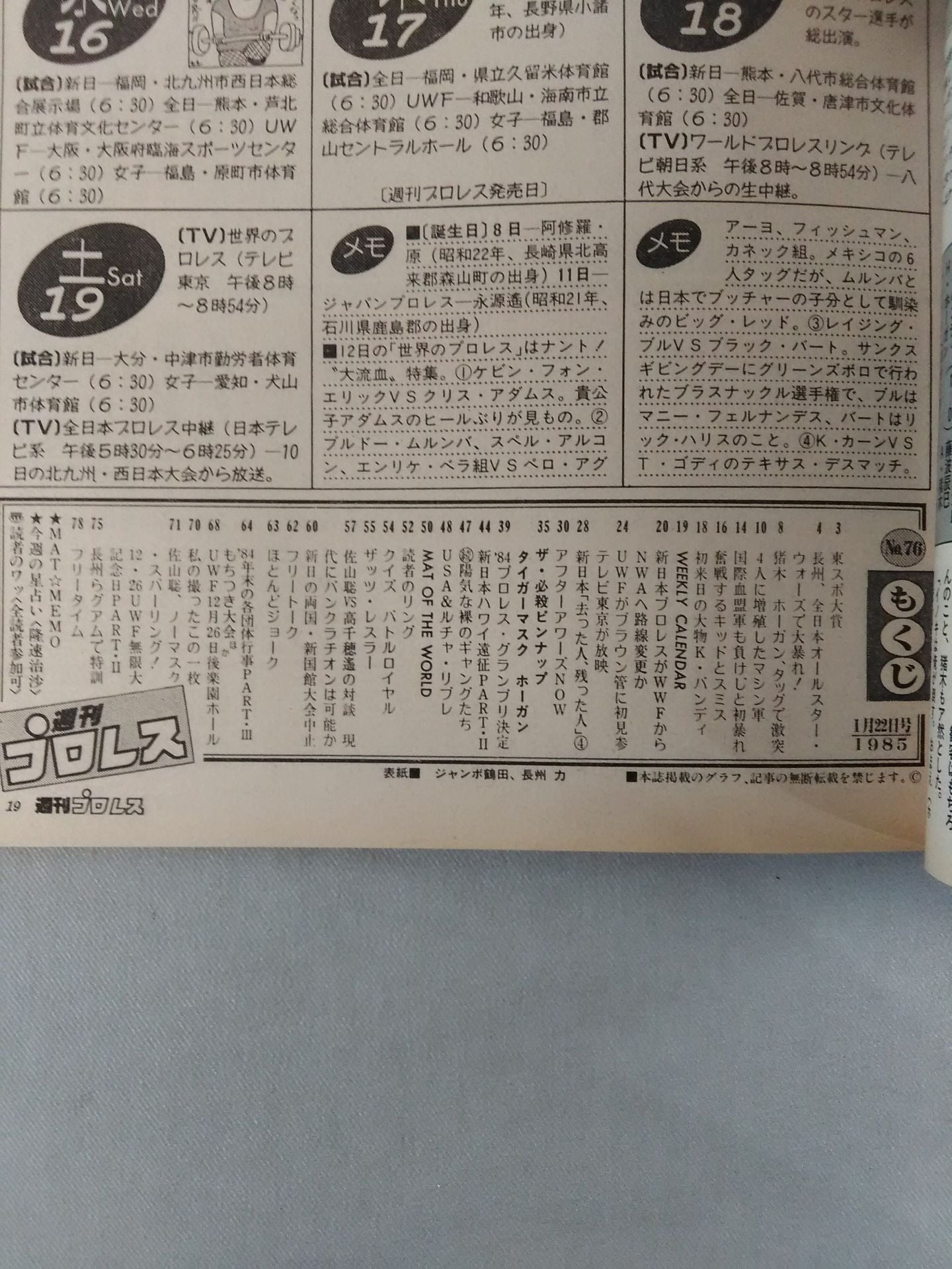 Weekly Pro Wrestling 76