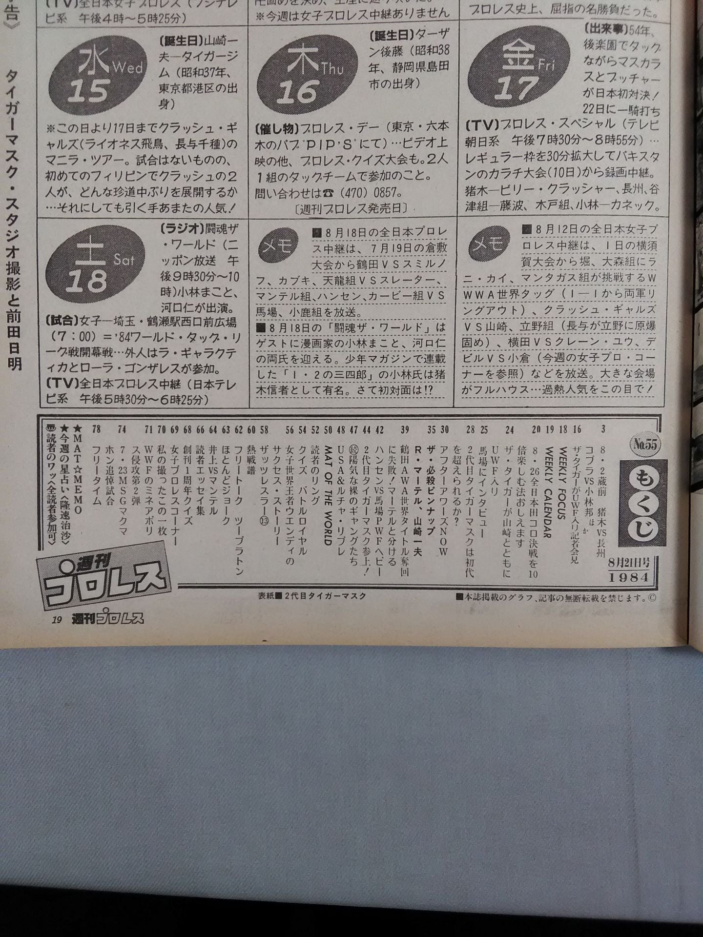 Weekly Pro Wrestling 55