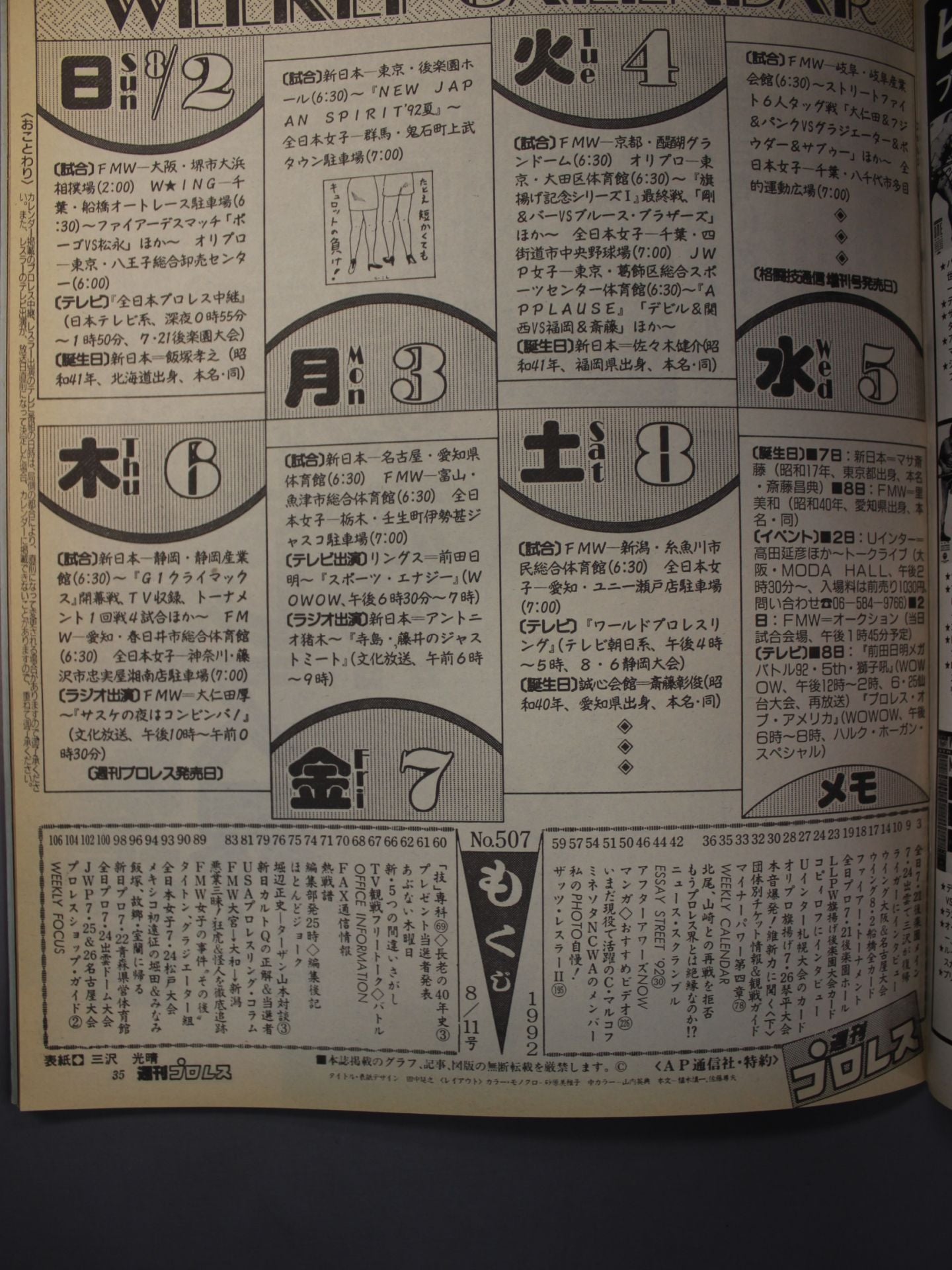 Weekly Pro Wrestling 507