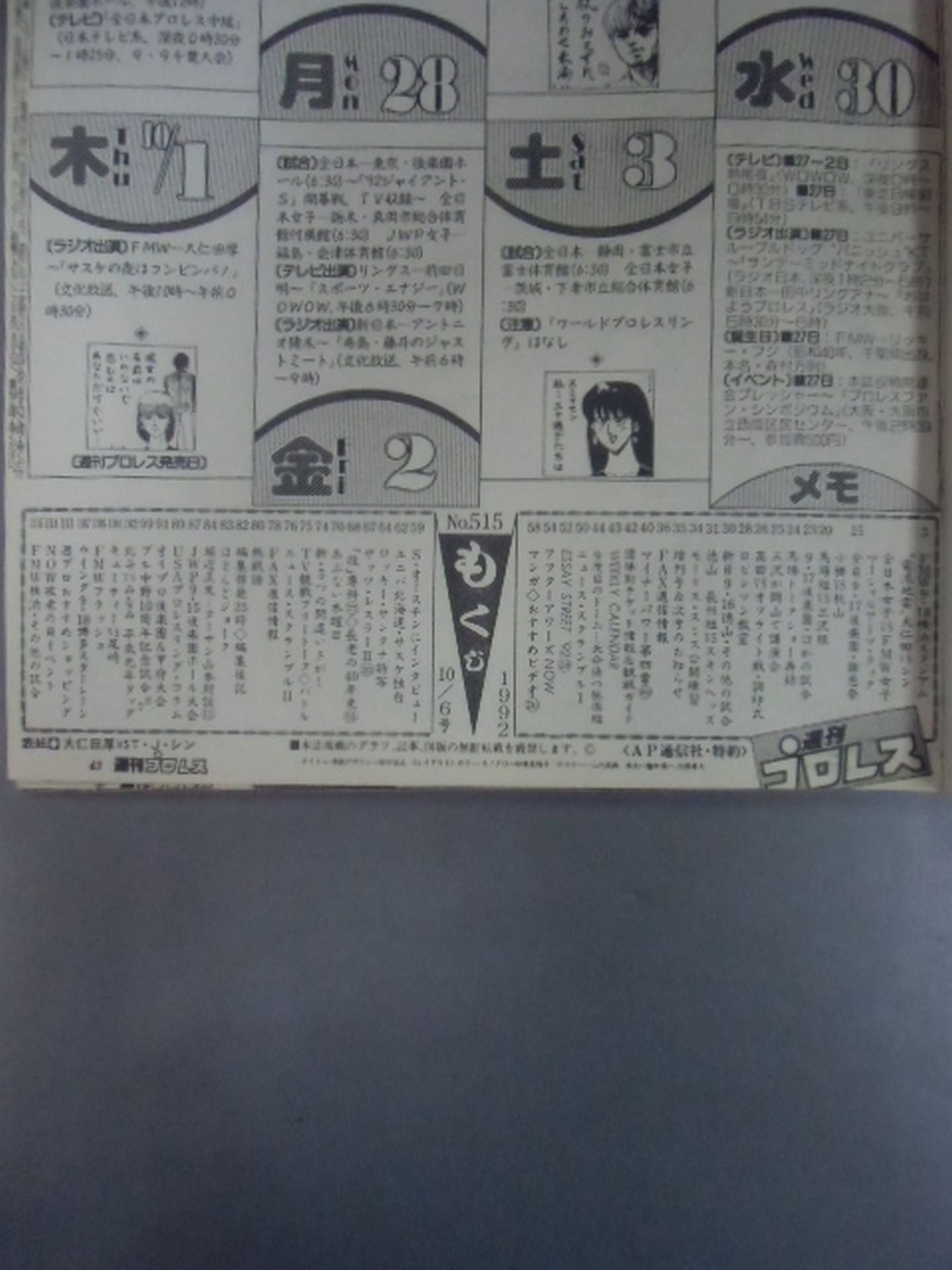 Weekly Pro Wrestling 515