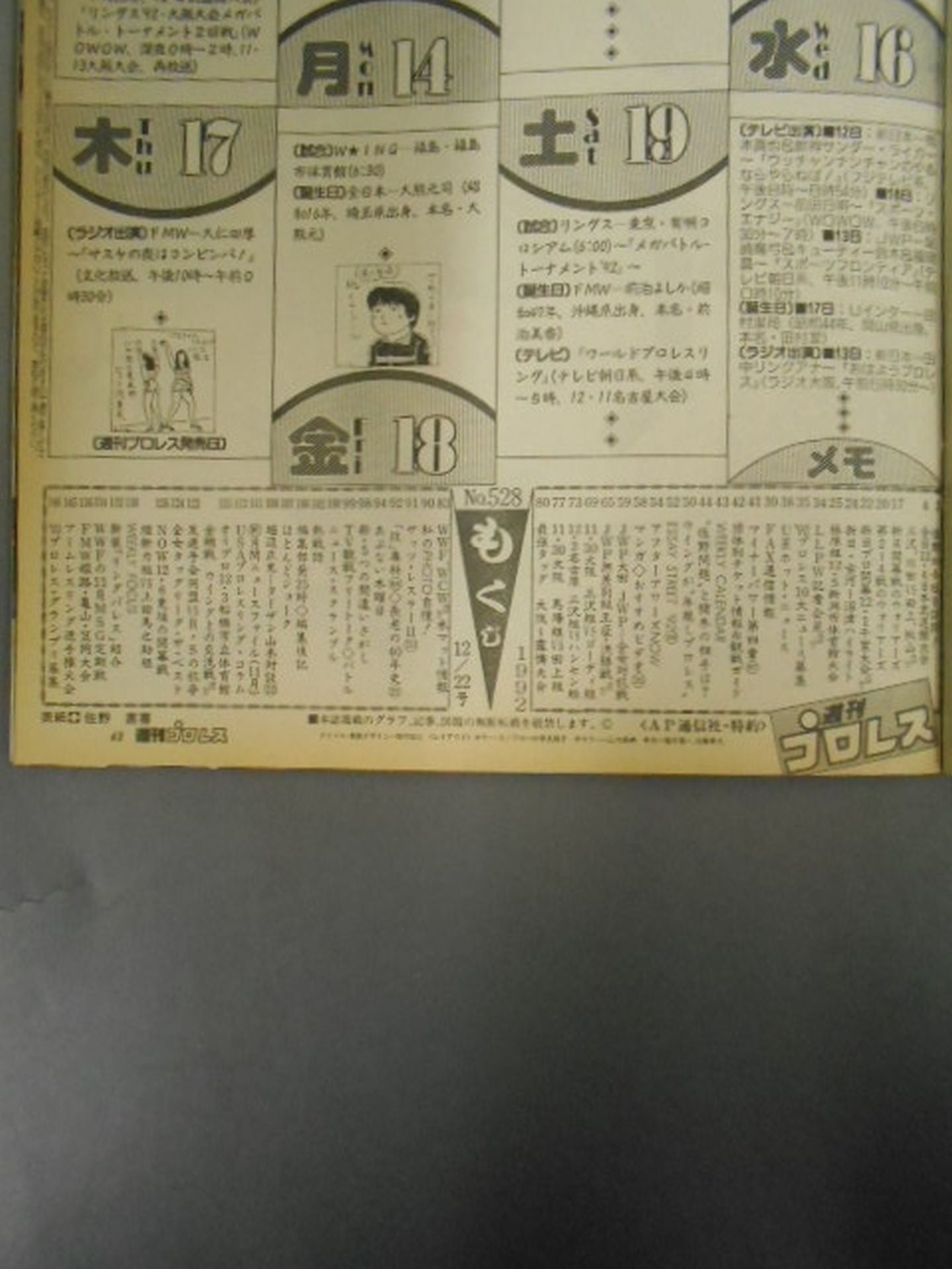 Weekly Pro Wrestling 528