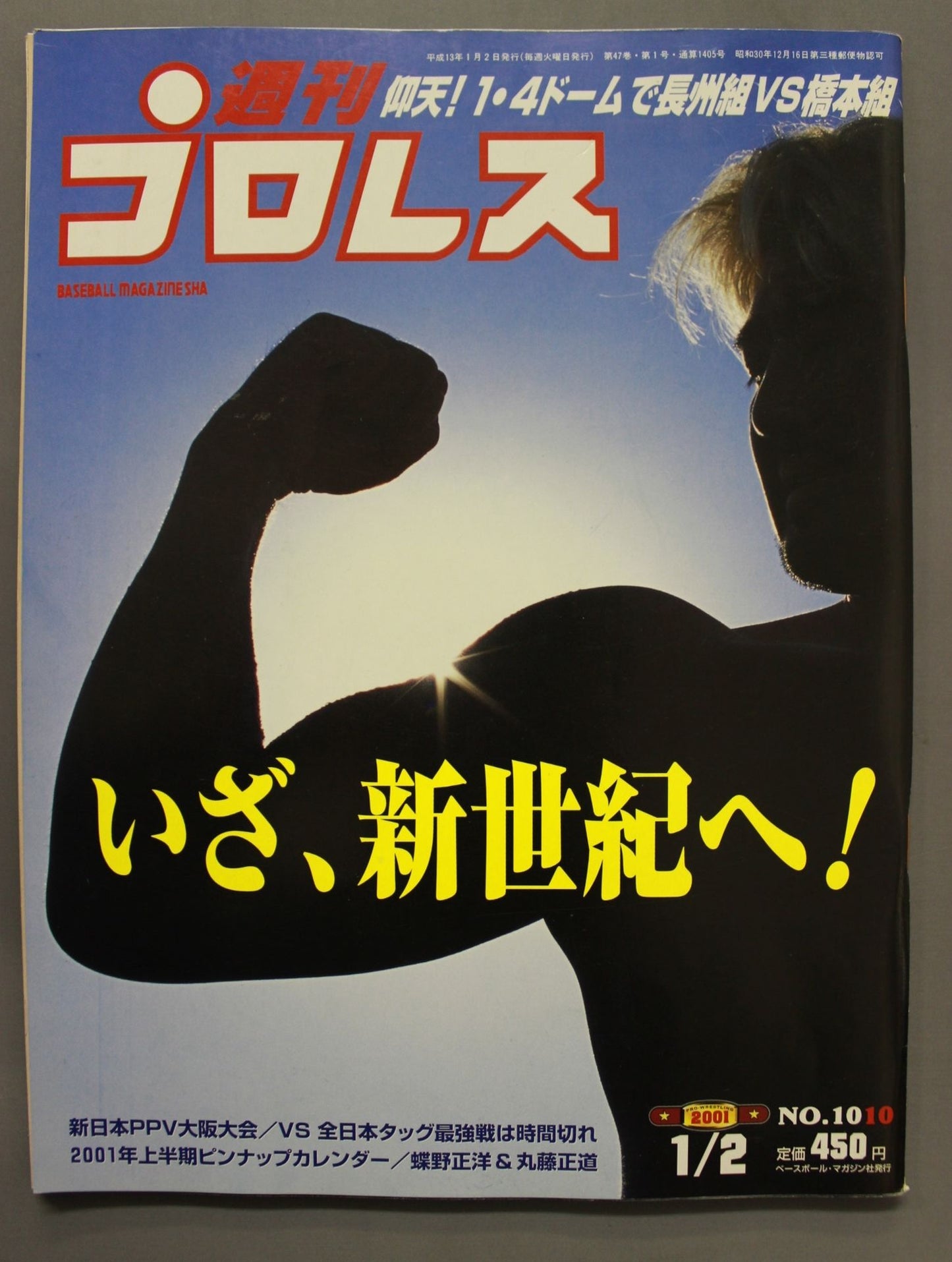 週刊プロレス1010