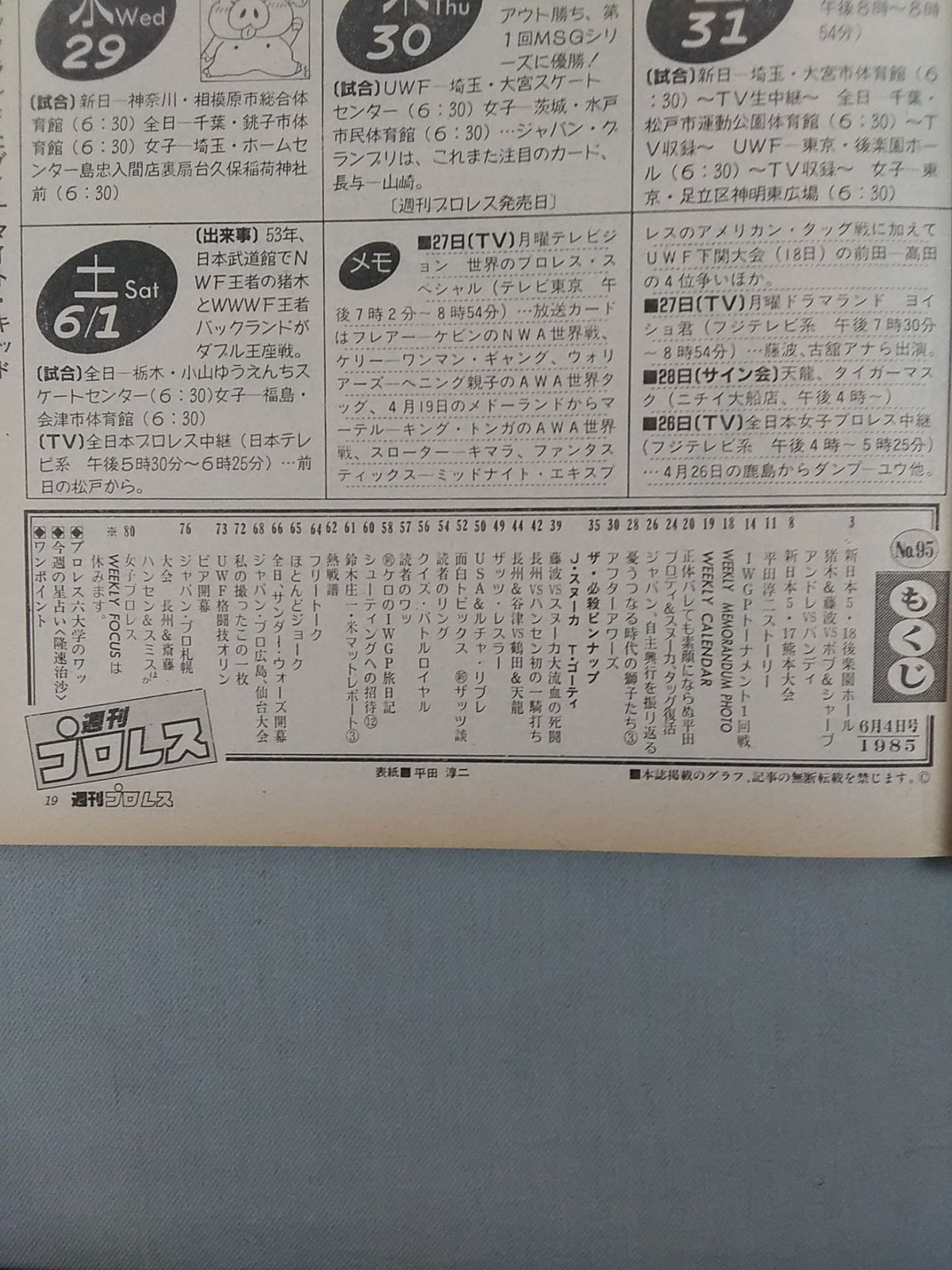Weekly Pro Wrestling 95