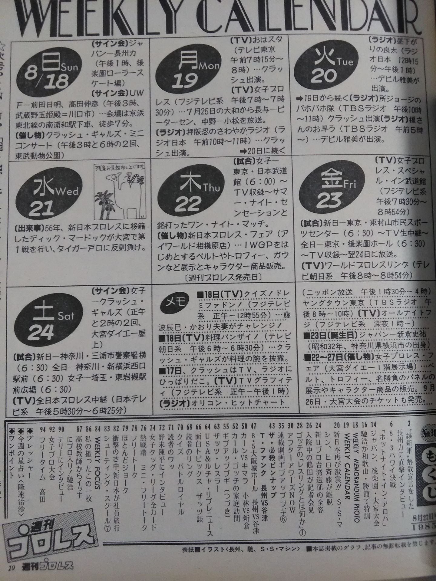 Weekly Pro Wrestling 107