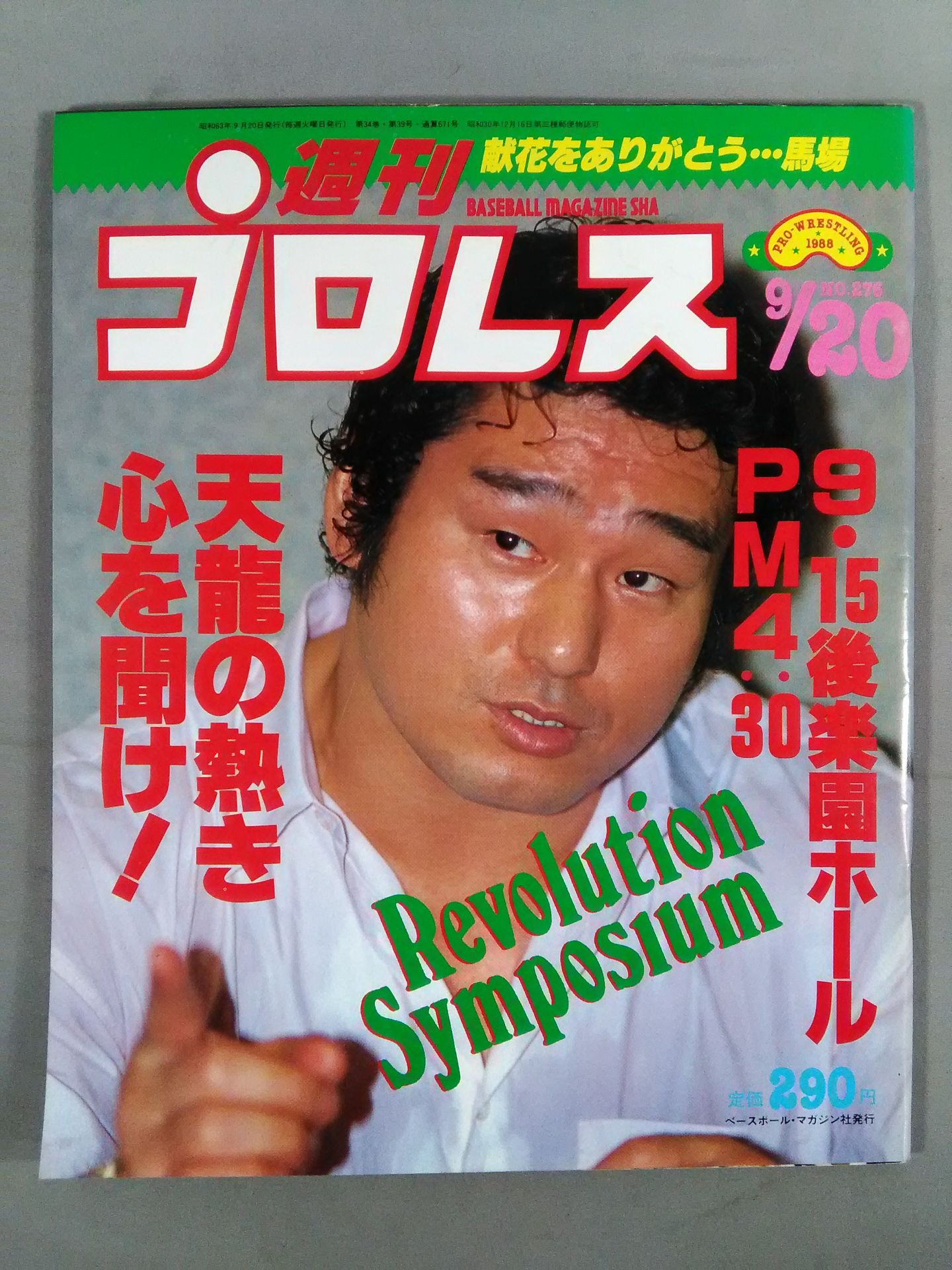 Weekly Pro Wrestling 276