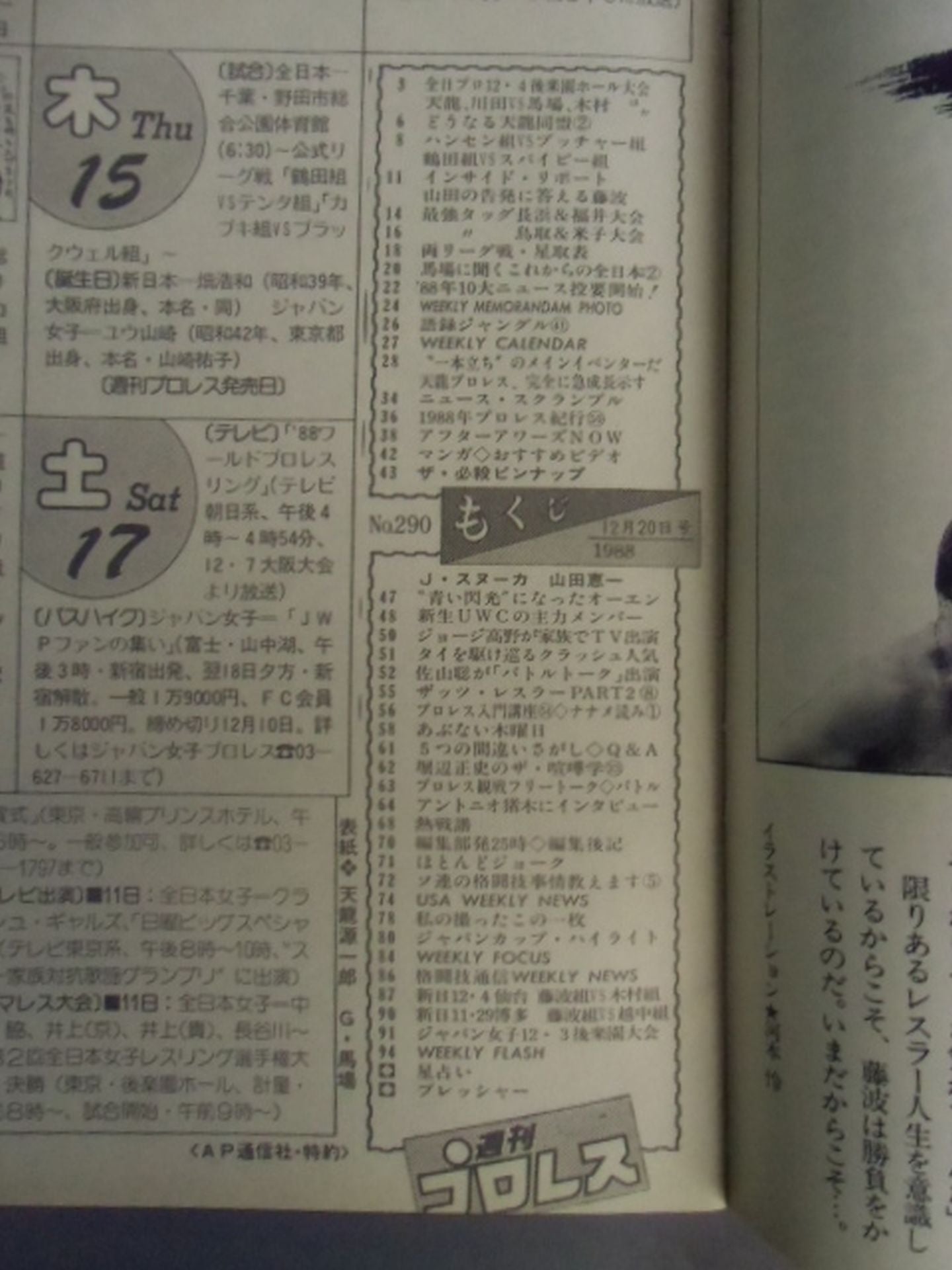 Weekly Pro Wrestling 290